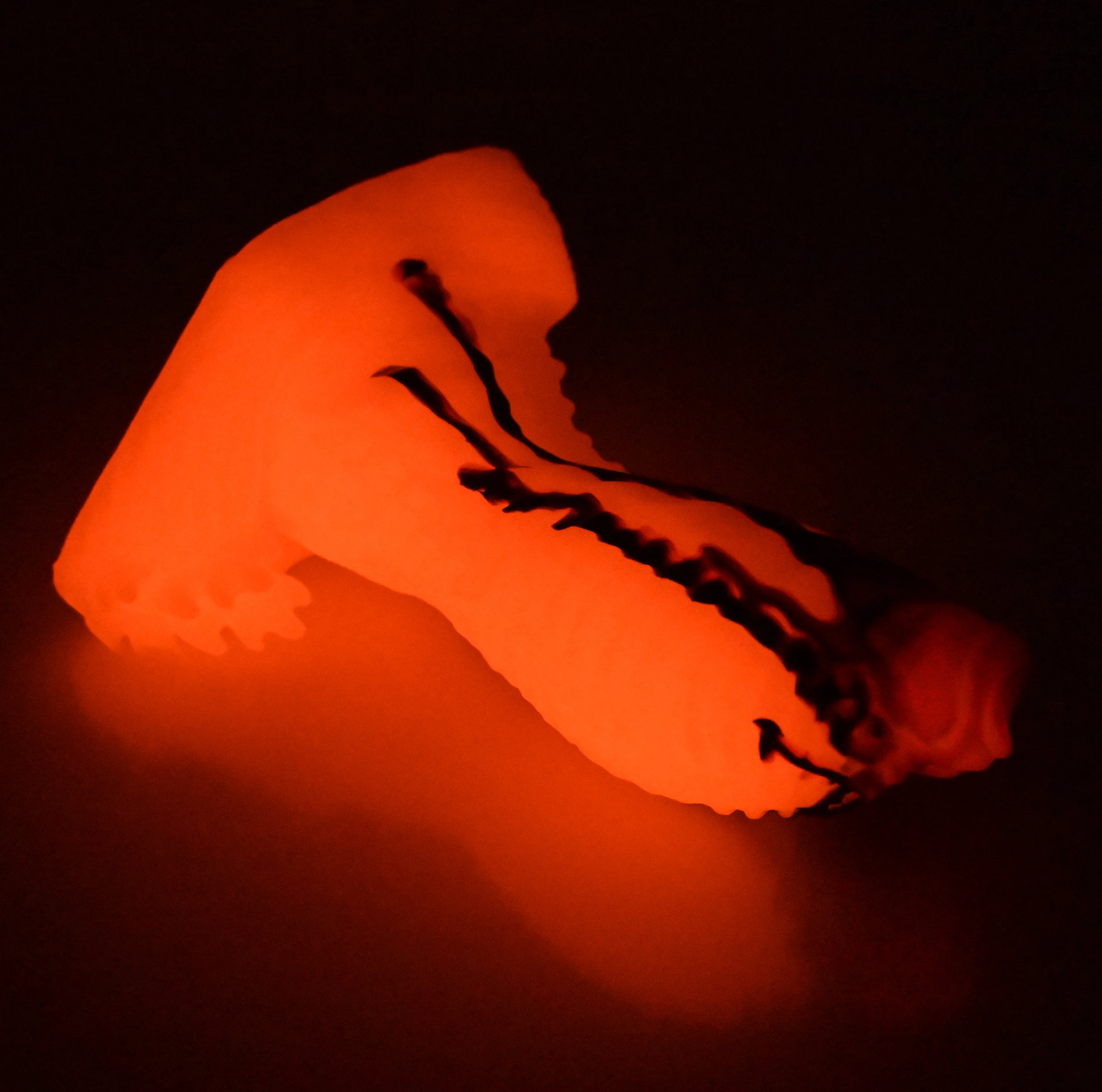 X2MEK34 Shin Small 0050 UV GITD - Image 4