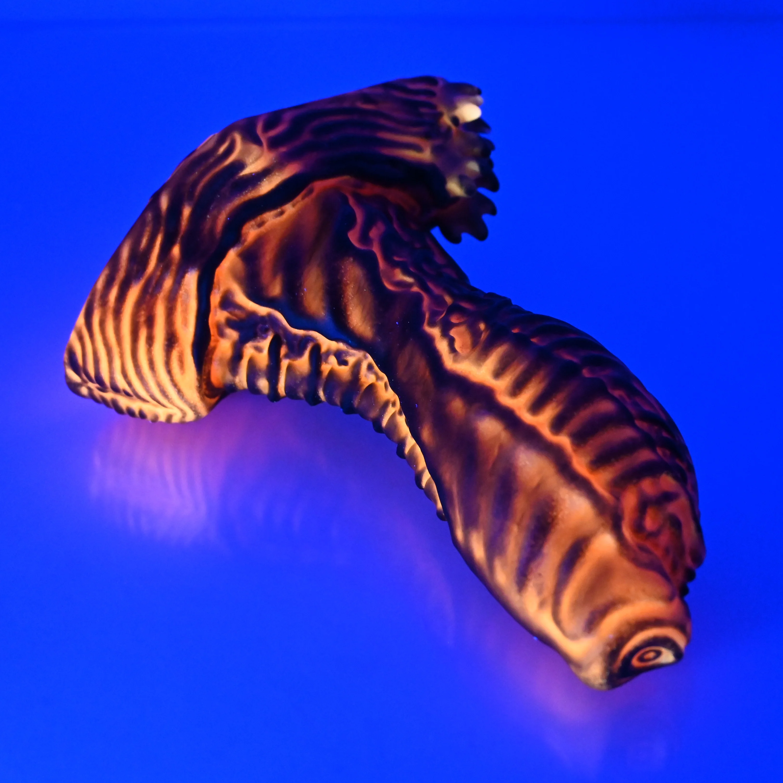 X2SEP49 Shin Small 0030 UV GITD - Image 3