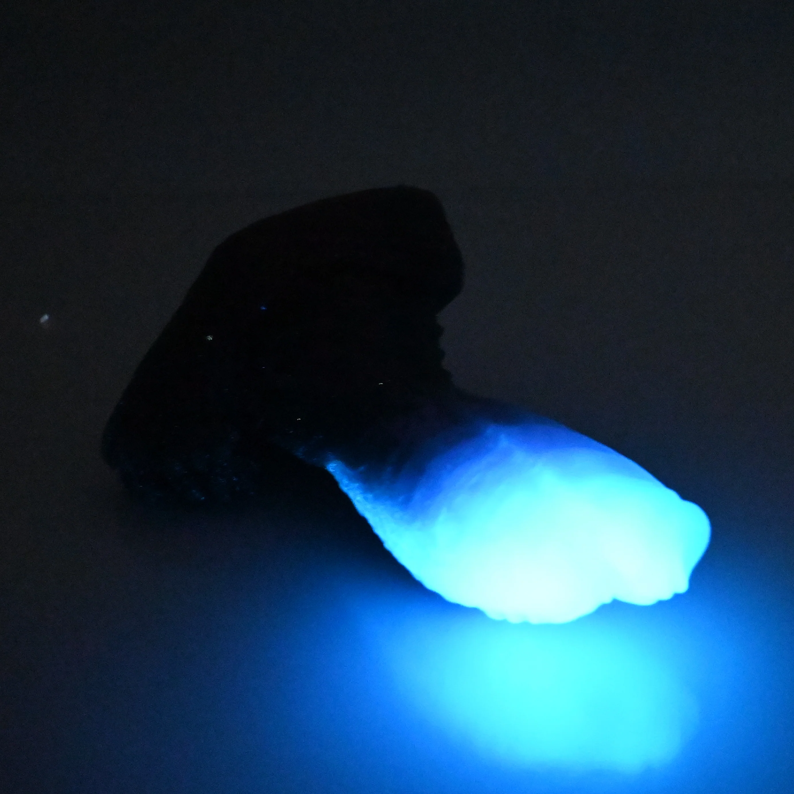 X2XFJ54 Shin Small 0020 UV GITD CS - Image 4