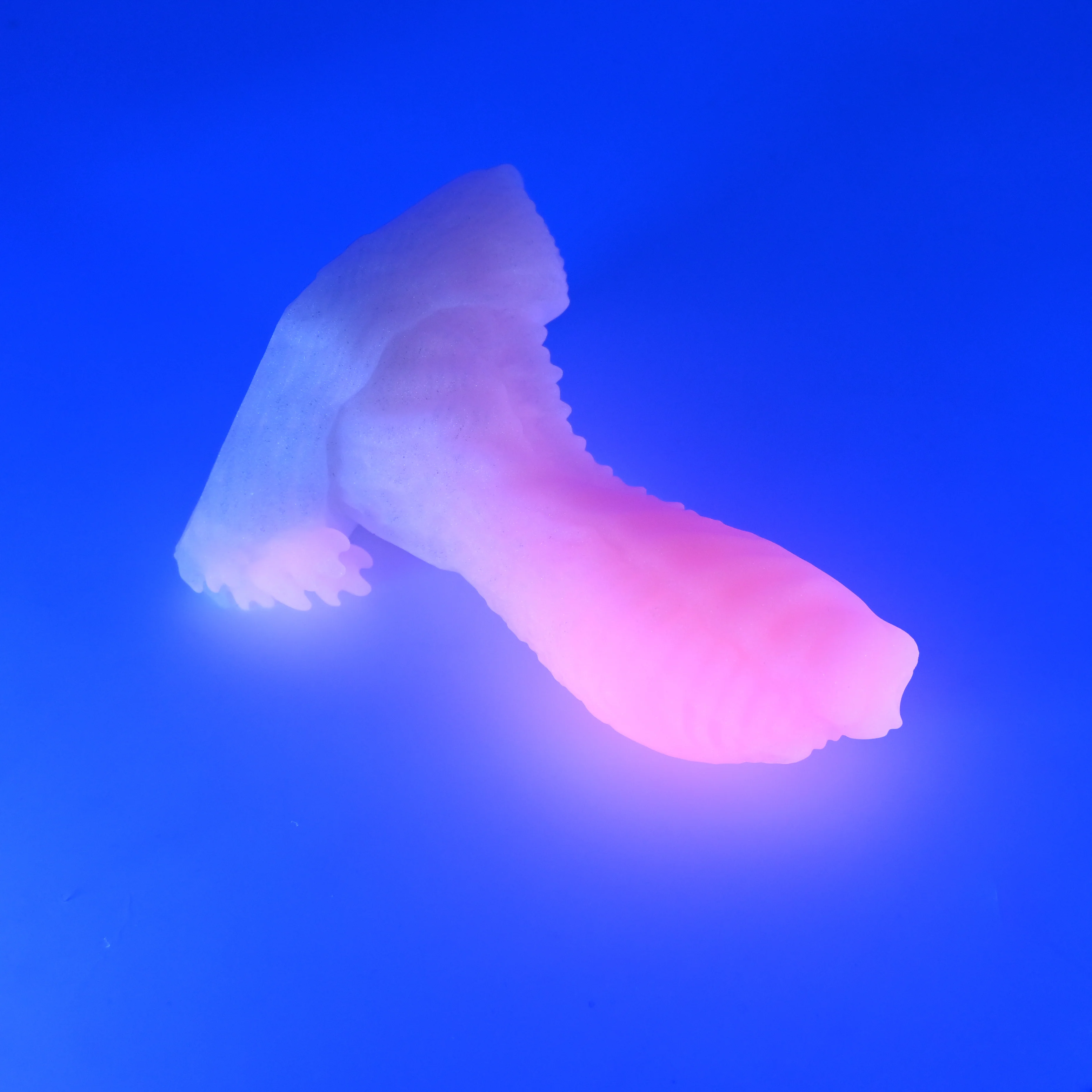 X2MJG69 Shin Small 0050 UV GITD - Image 3