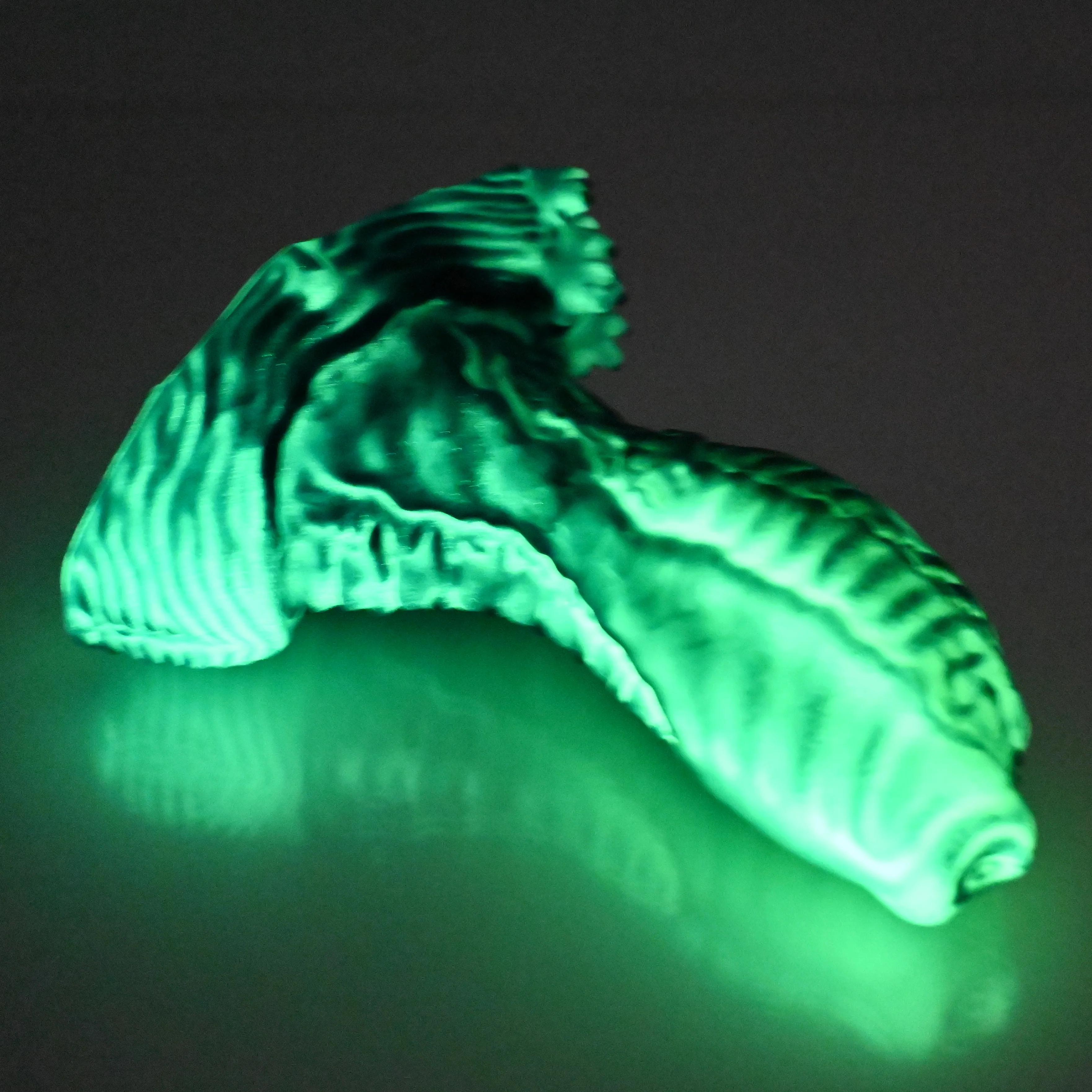 X2SEB72 Shin Small 0030 UV GITD - Image 4