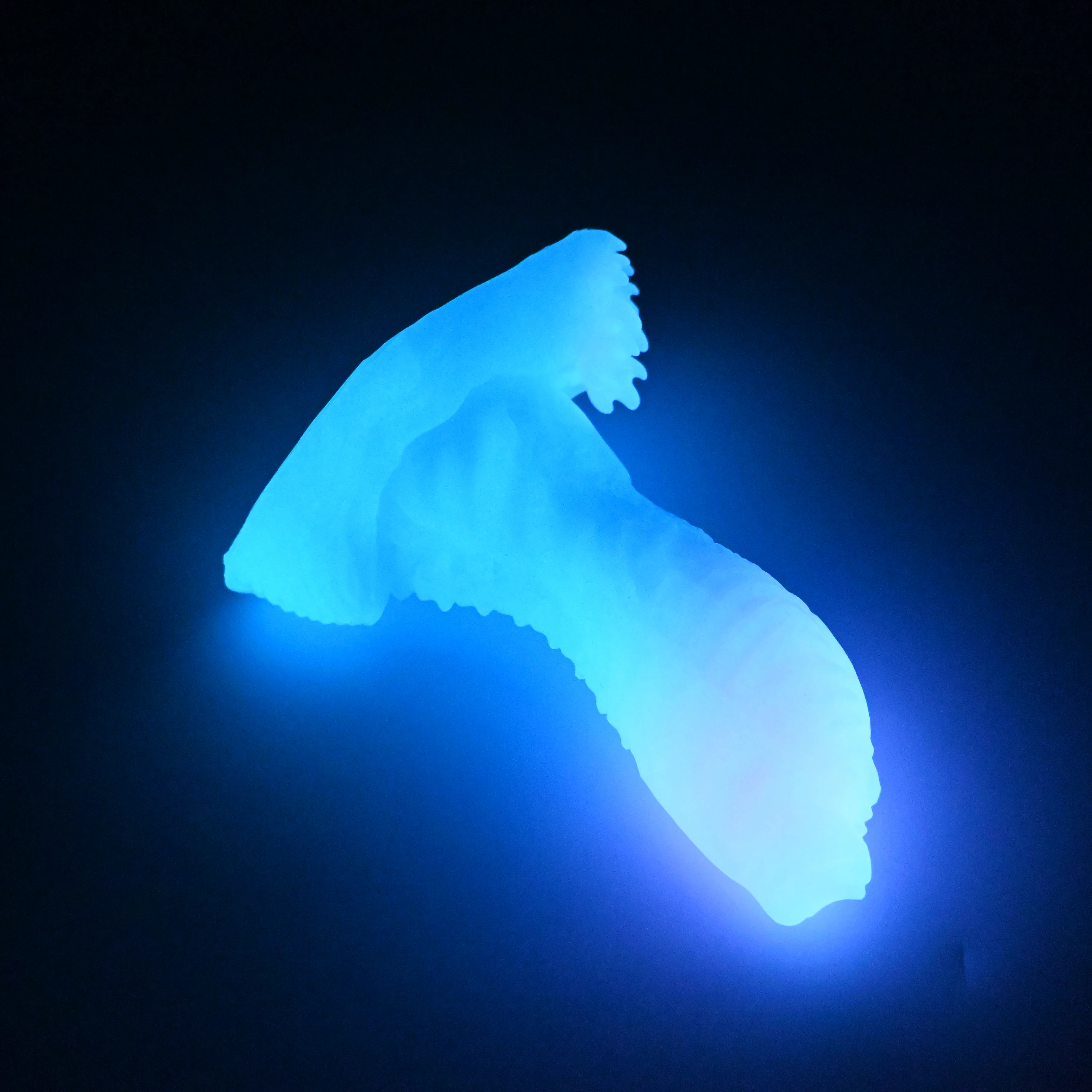 X2MJP05 Shin Small 0050 UV GITD - Image 4
