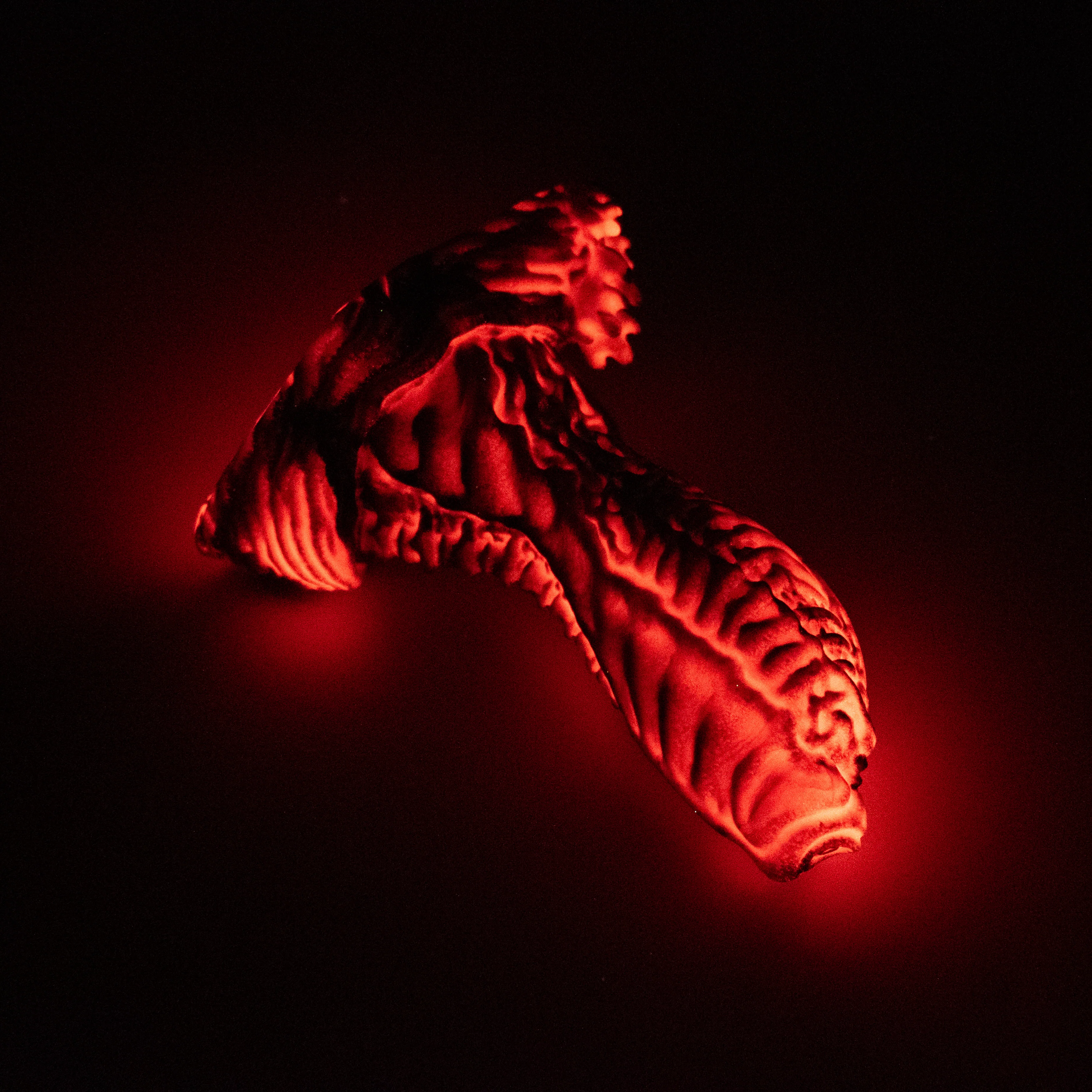 X2SJQ76 Shin Small 0030 UV GITD - Image 4