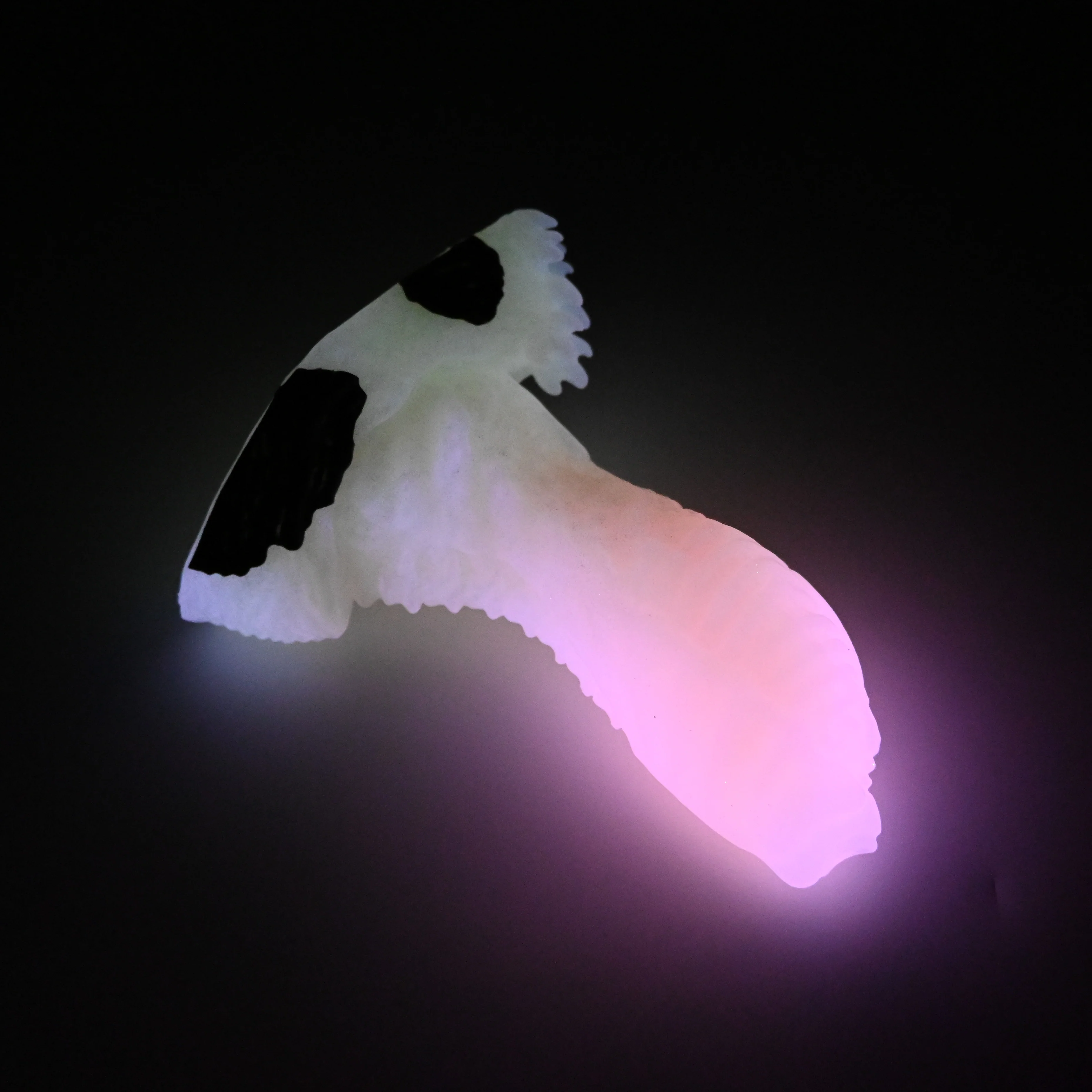 X2SJS64 Shin Small 0030 UV GITD - Image 4