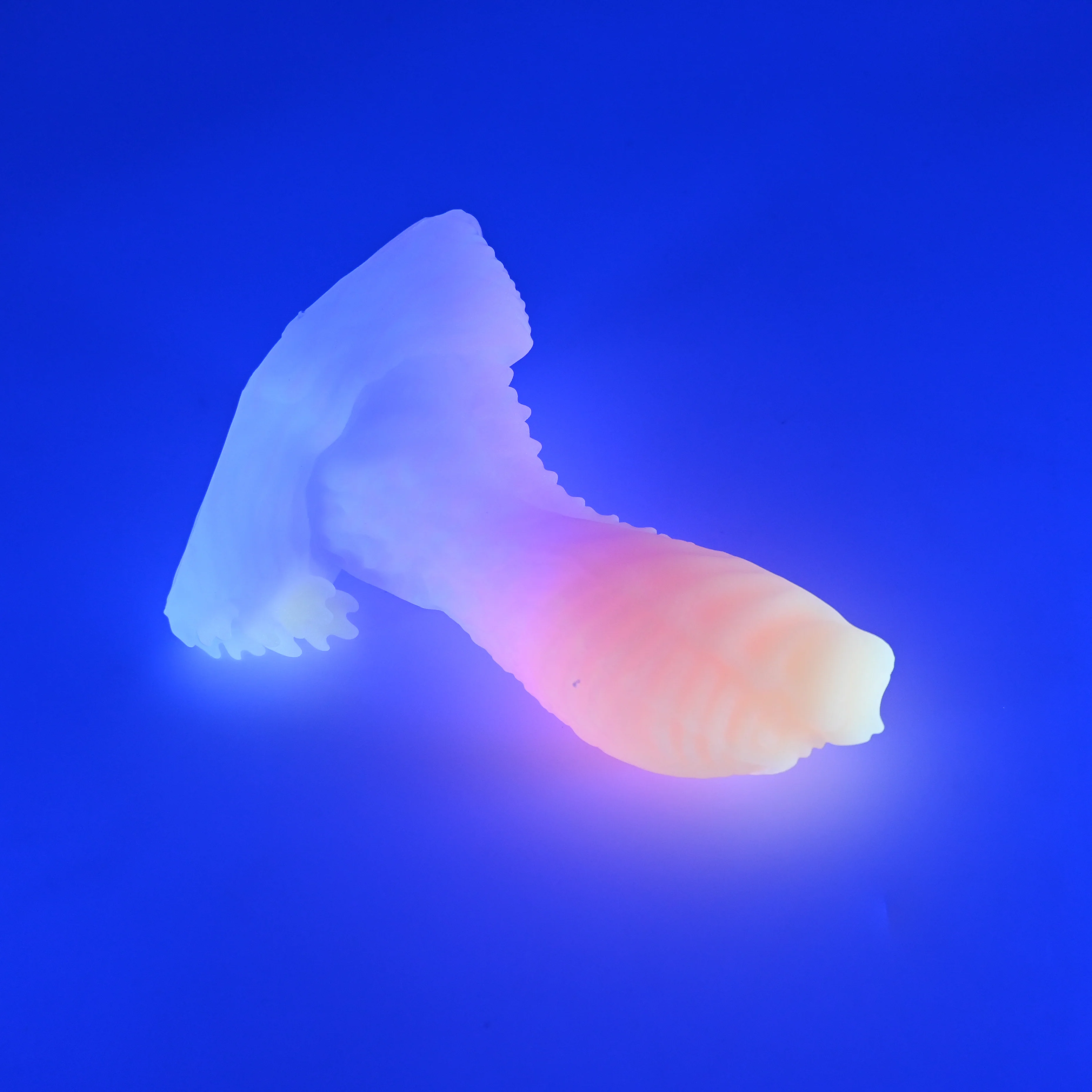 X2SJU43 Shin Small 0030 UV GITD - Image 3
