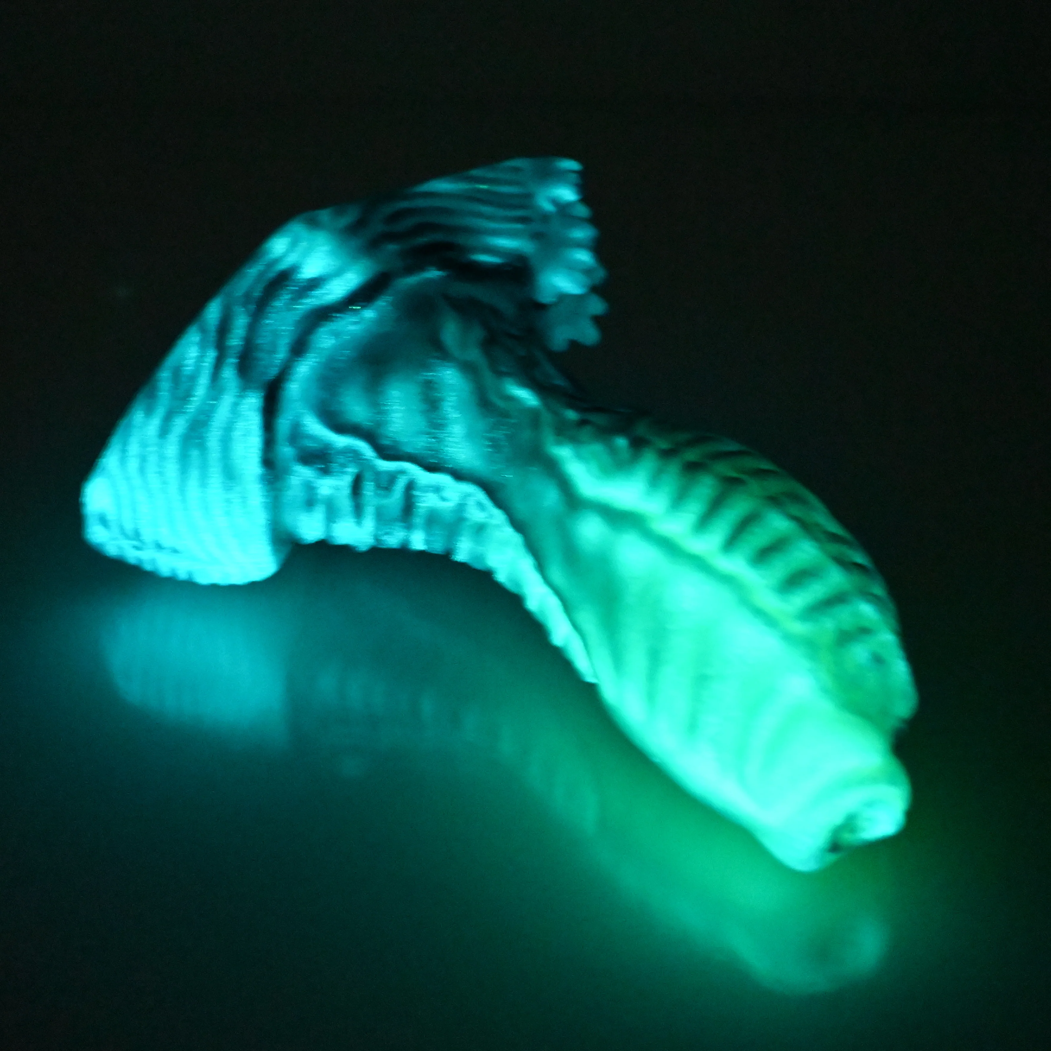 X2SED59 Shin Small 0030 UV GITD - Image 4