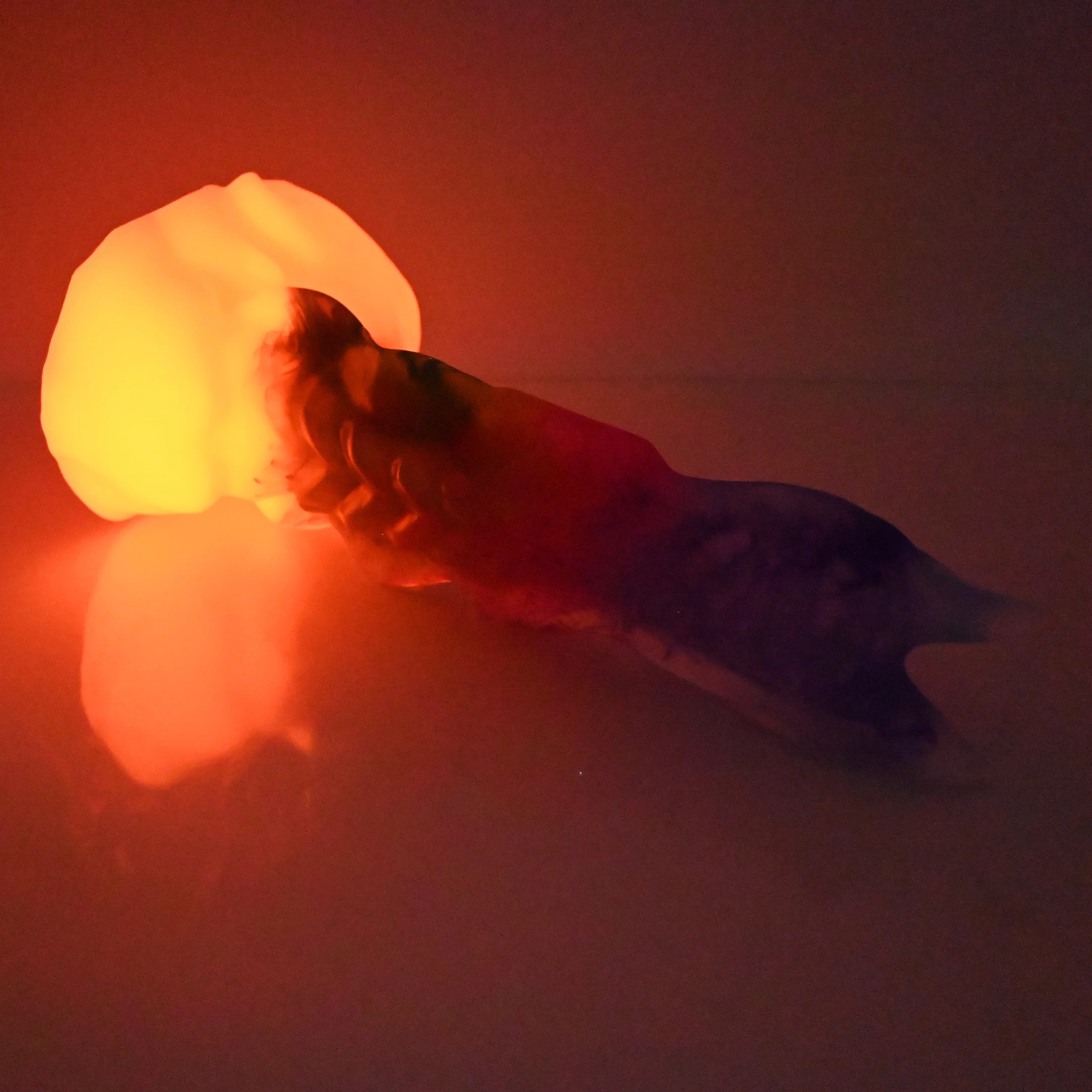 V4TCE59 Snark's Maw Large NC 0031 UV GITD - Image 3