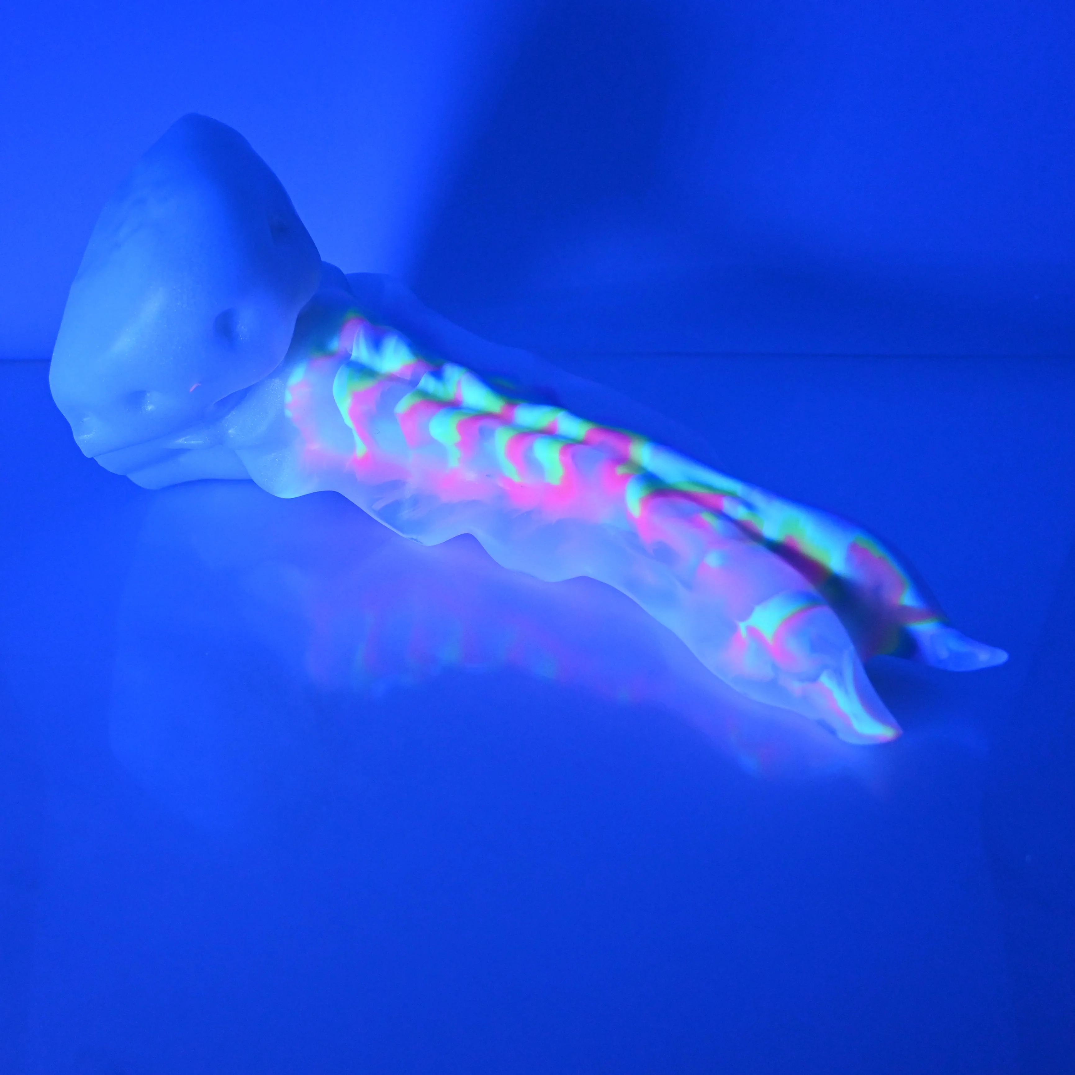 V4TCN05 Snark's Maw Large NC 0031 UV - Image 4