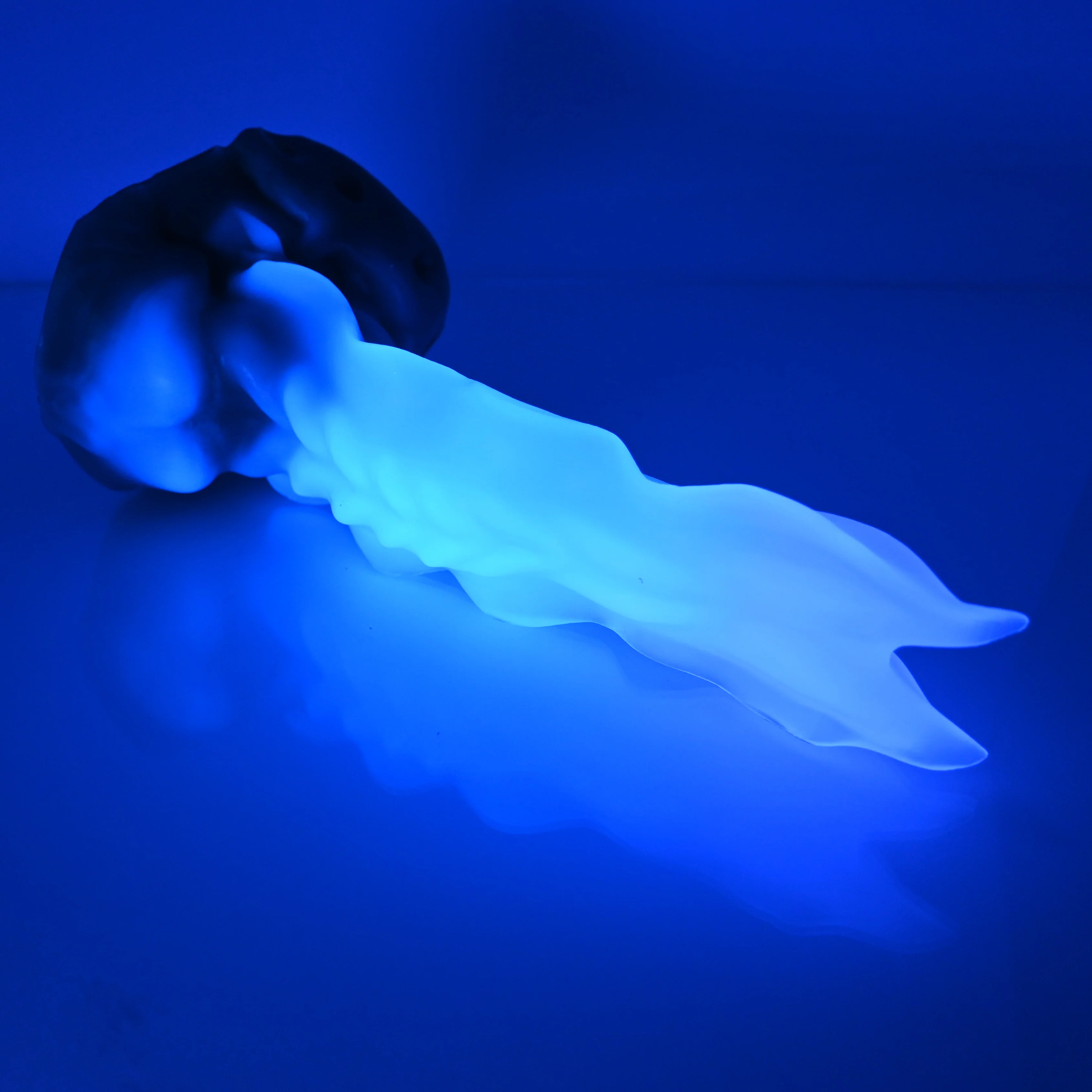 V3NCK06 Snark's Maw Medium NC 0045 UV - Image 3