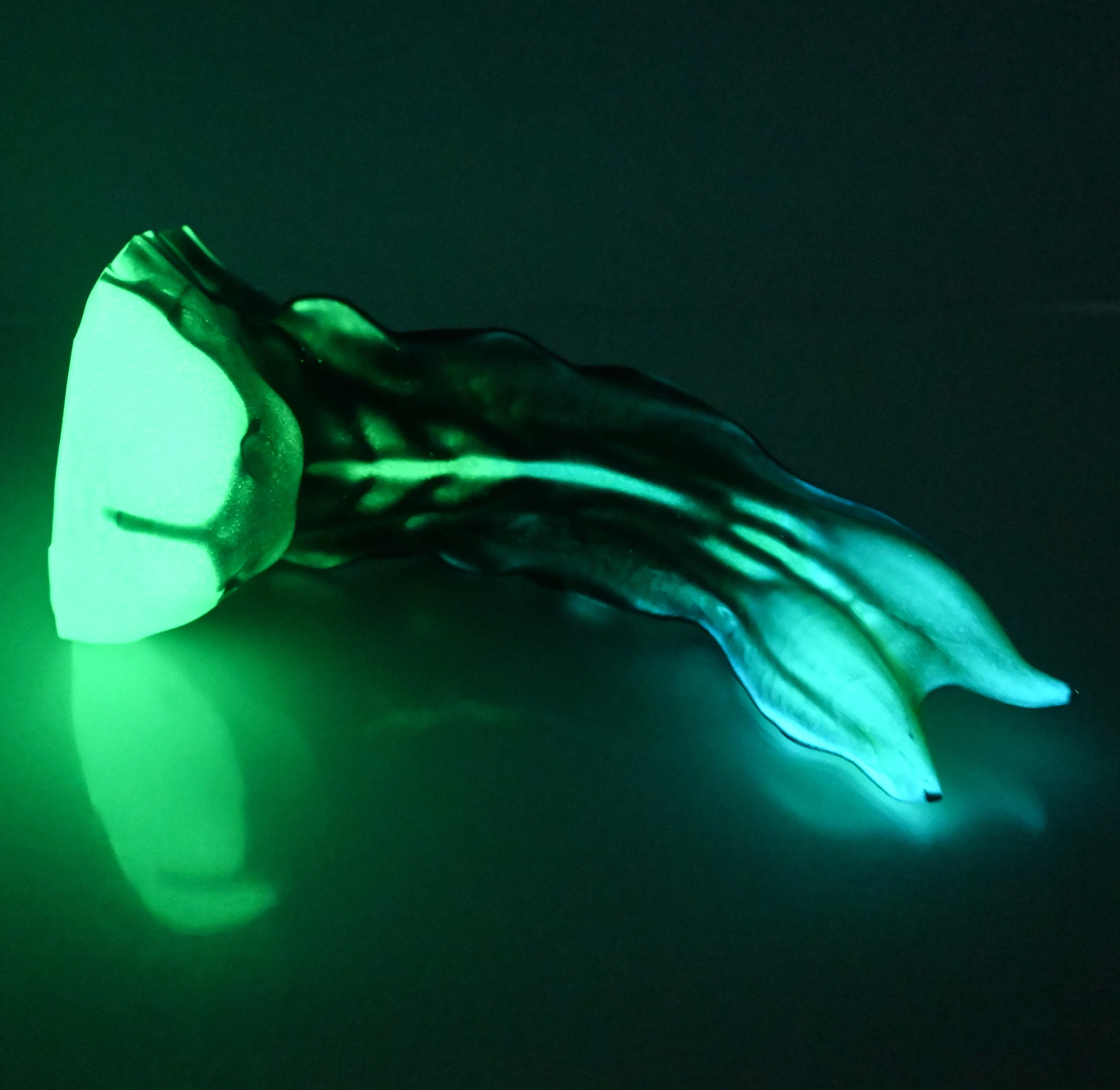 V3XCU48 Snark's Maw Medium 0020 UV GITD - Image 4