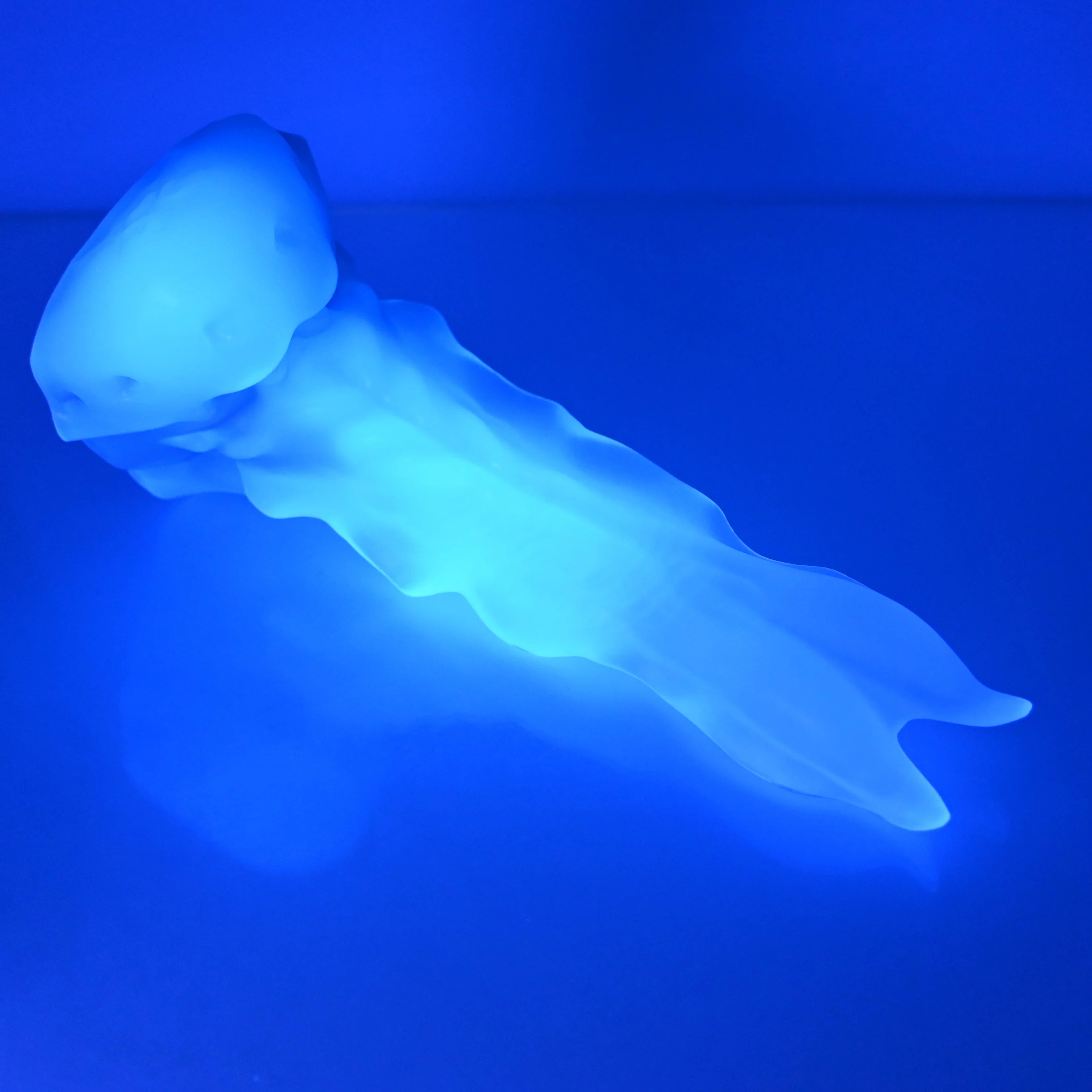 V2NCC84 Snark's Maw Small NC 0045 UV - Image 4
