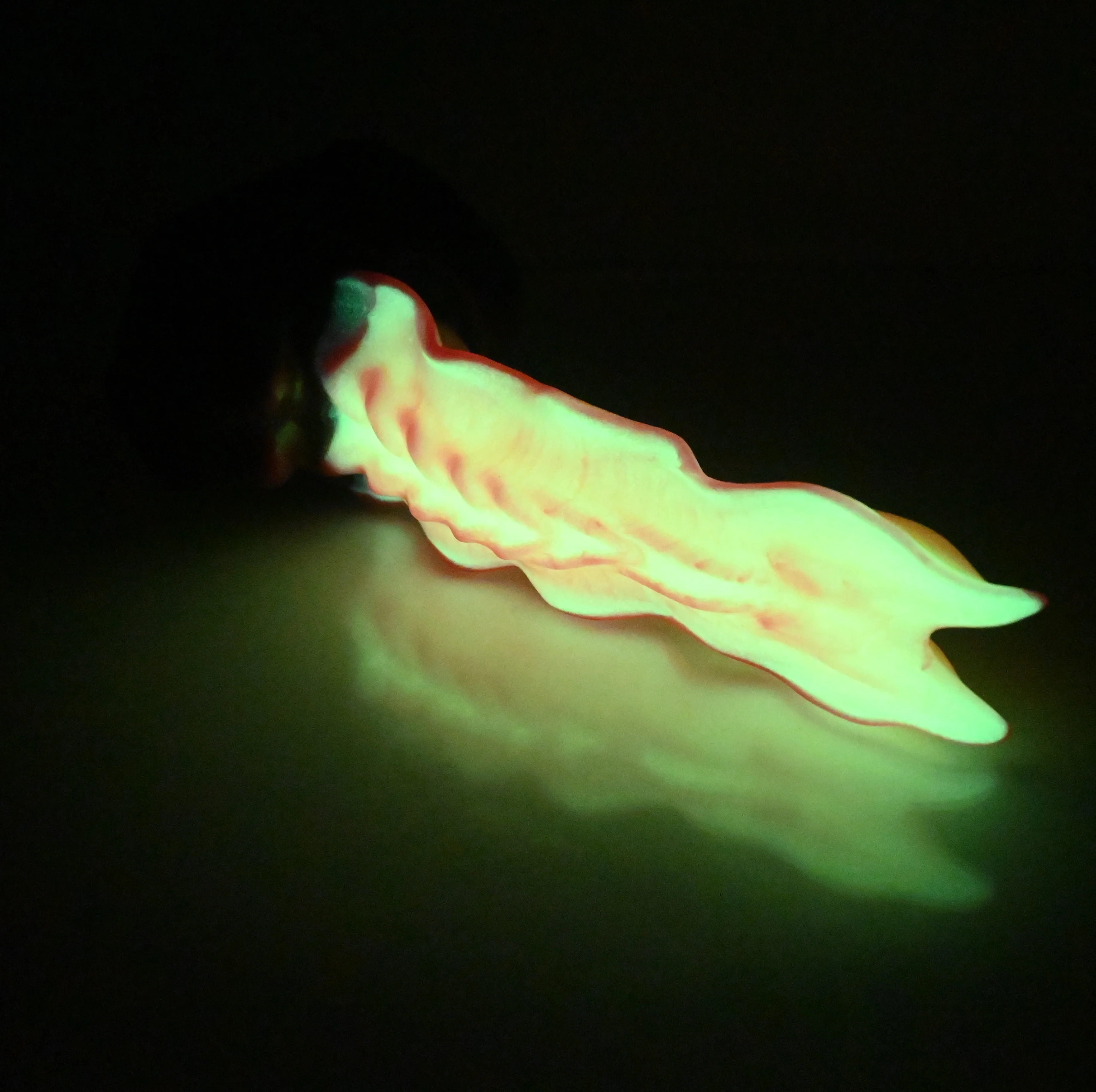 V2MCX09 Snark's Maw Small 0050 UV GITD - Image 4