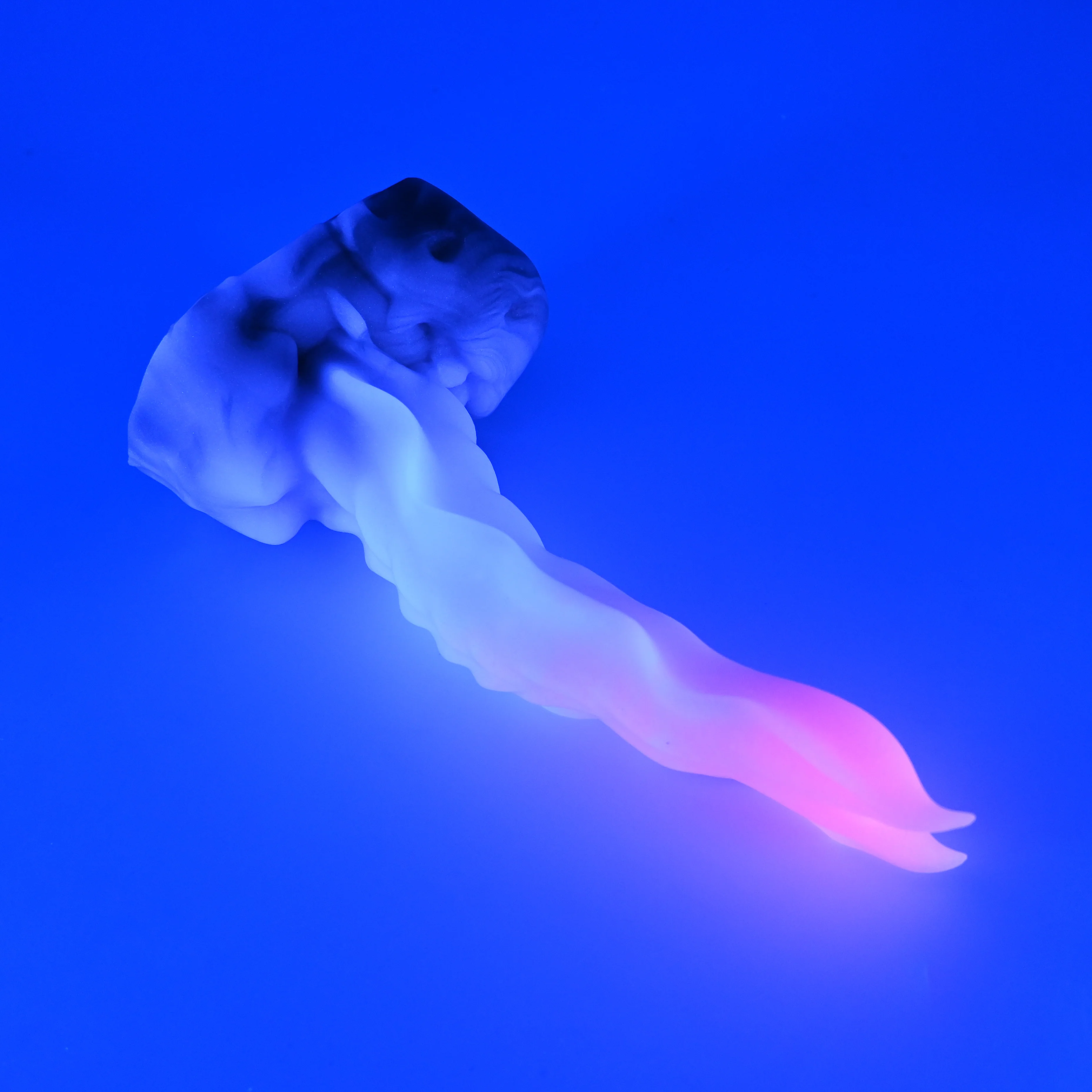 V2SHU18 Snark's Maw Small 0030 UV GITD CS - Image 3