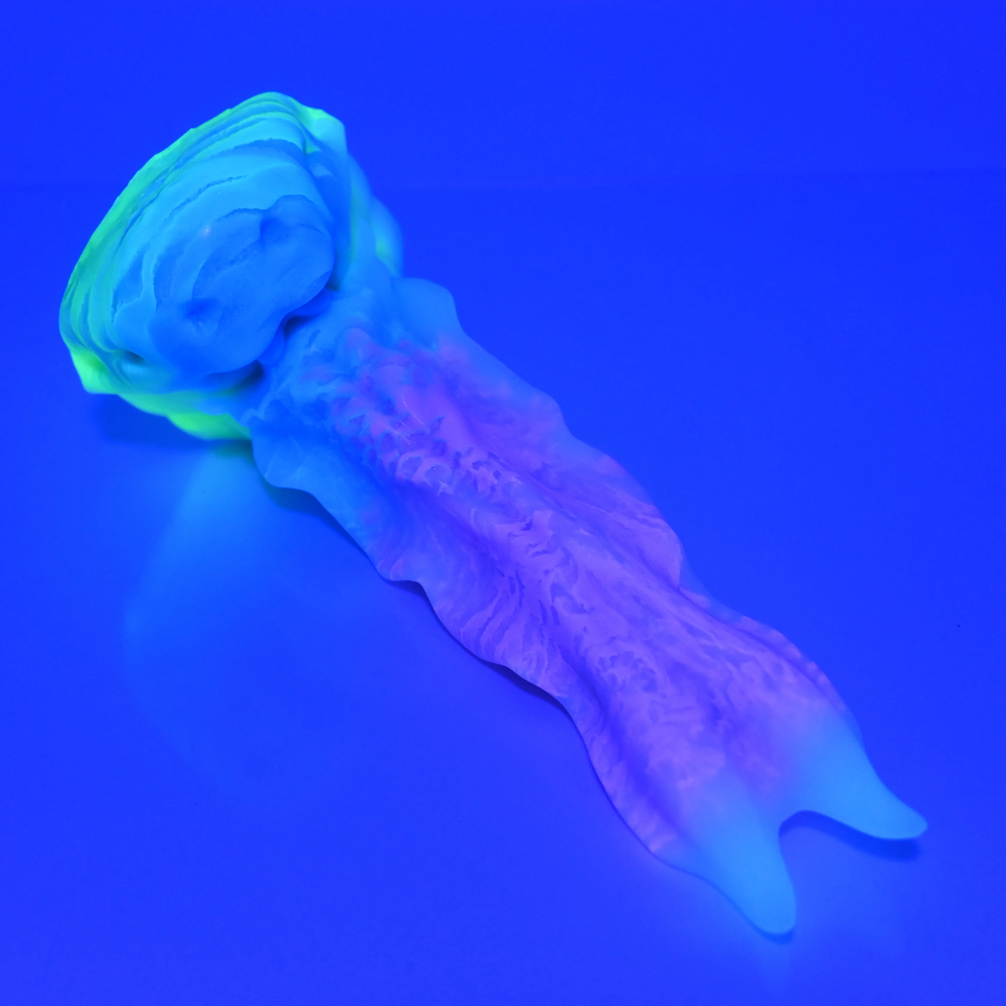 V2MBN26 Snark's Maw Small 0050 UV GITD - Image 3