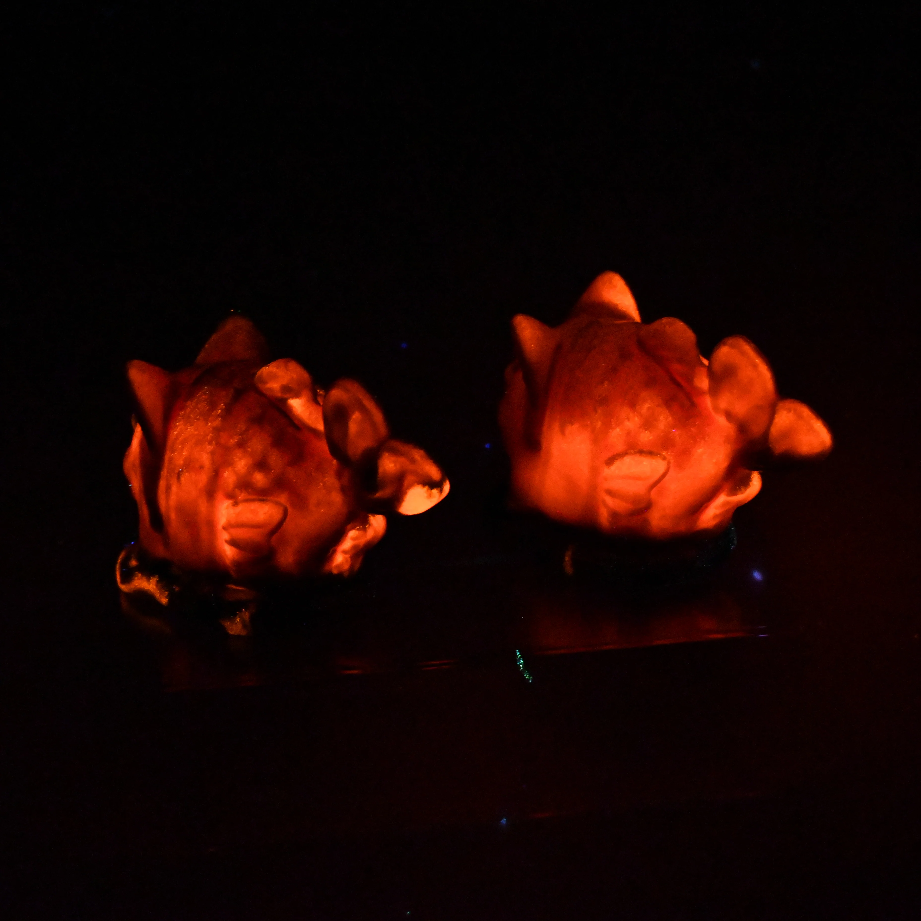 Tai-nya-ki 0030 UV GITD - Image 4
