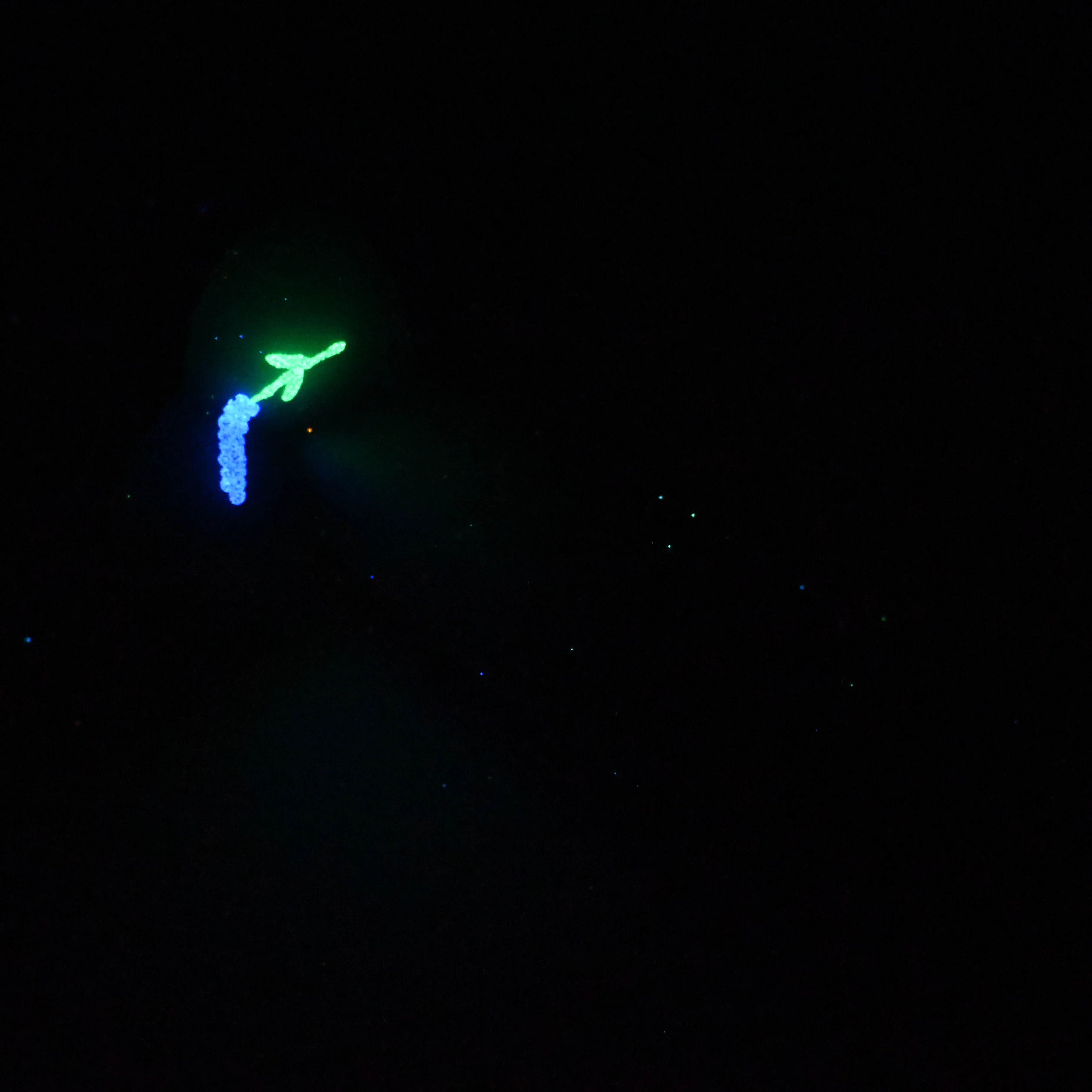W3MKC43 Tellus Medium 0050 UV GITD GOBLIN HOLE - Image 4