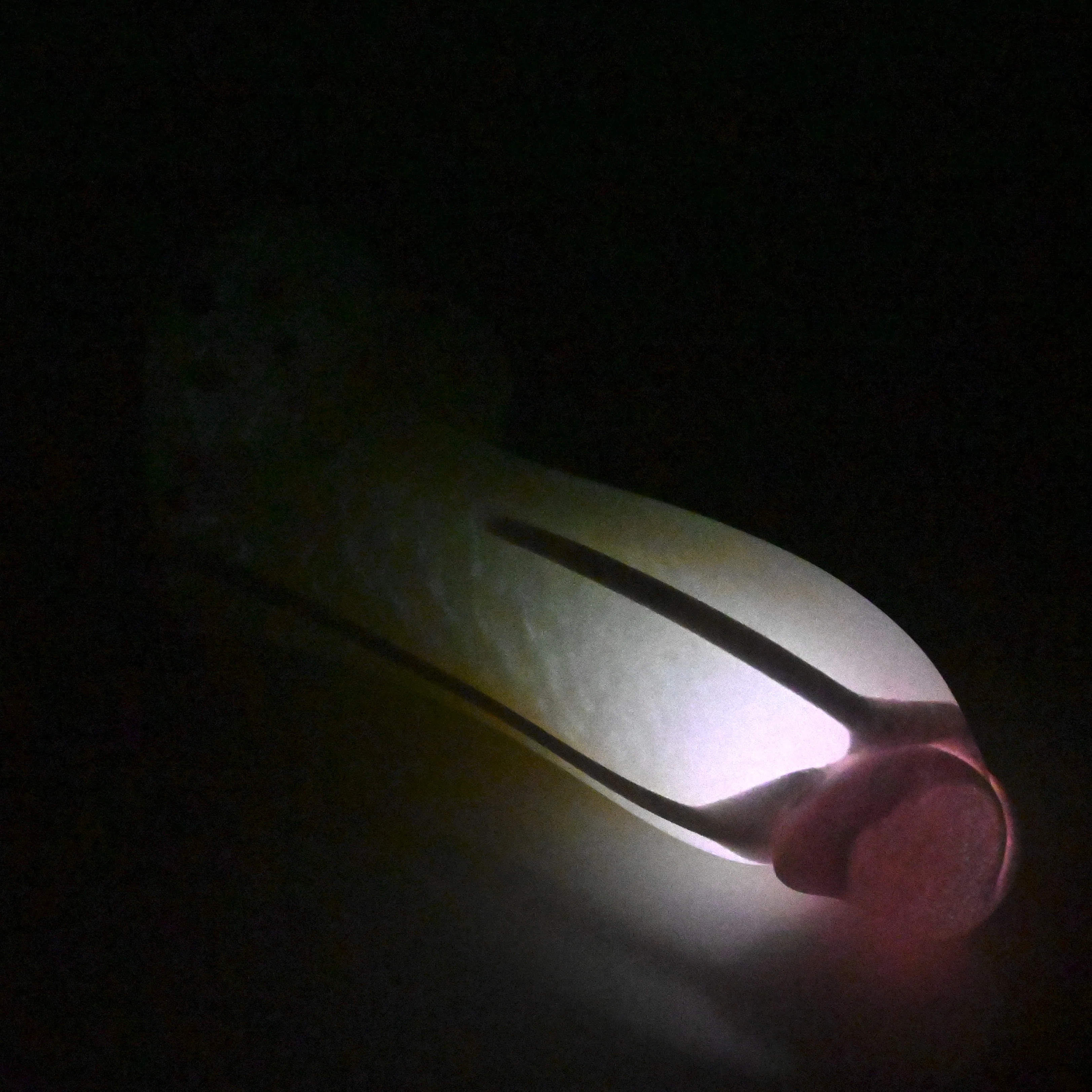 W2SDX34 Tellus Small 0030 UV GITD - Image 4