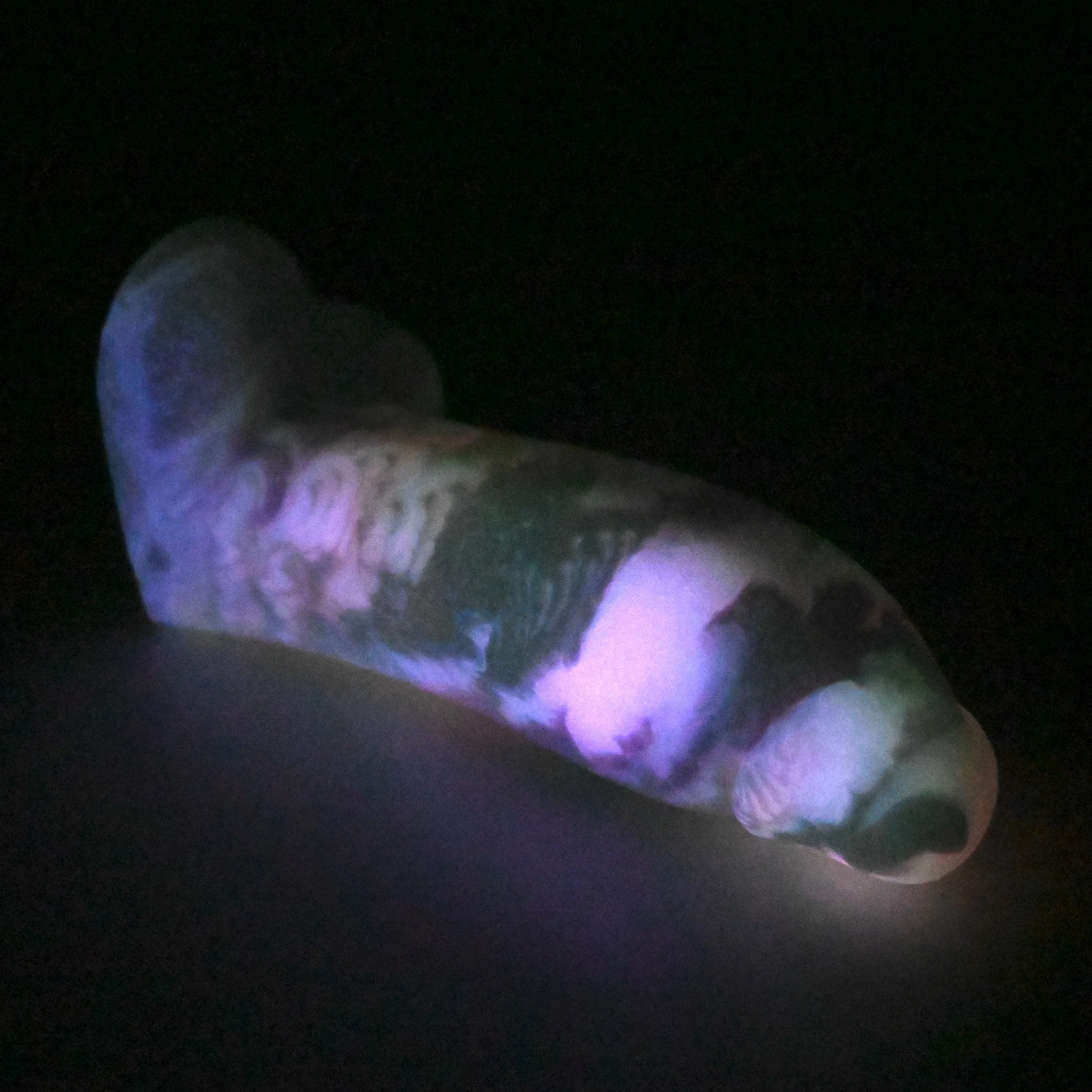 W2MGN74 Tellus Small 0050 UV GITD - Image 4