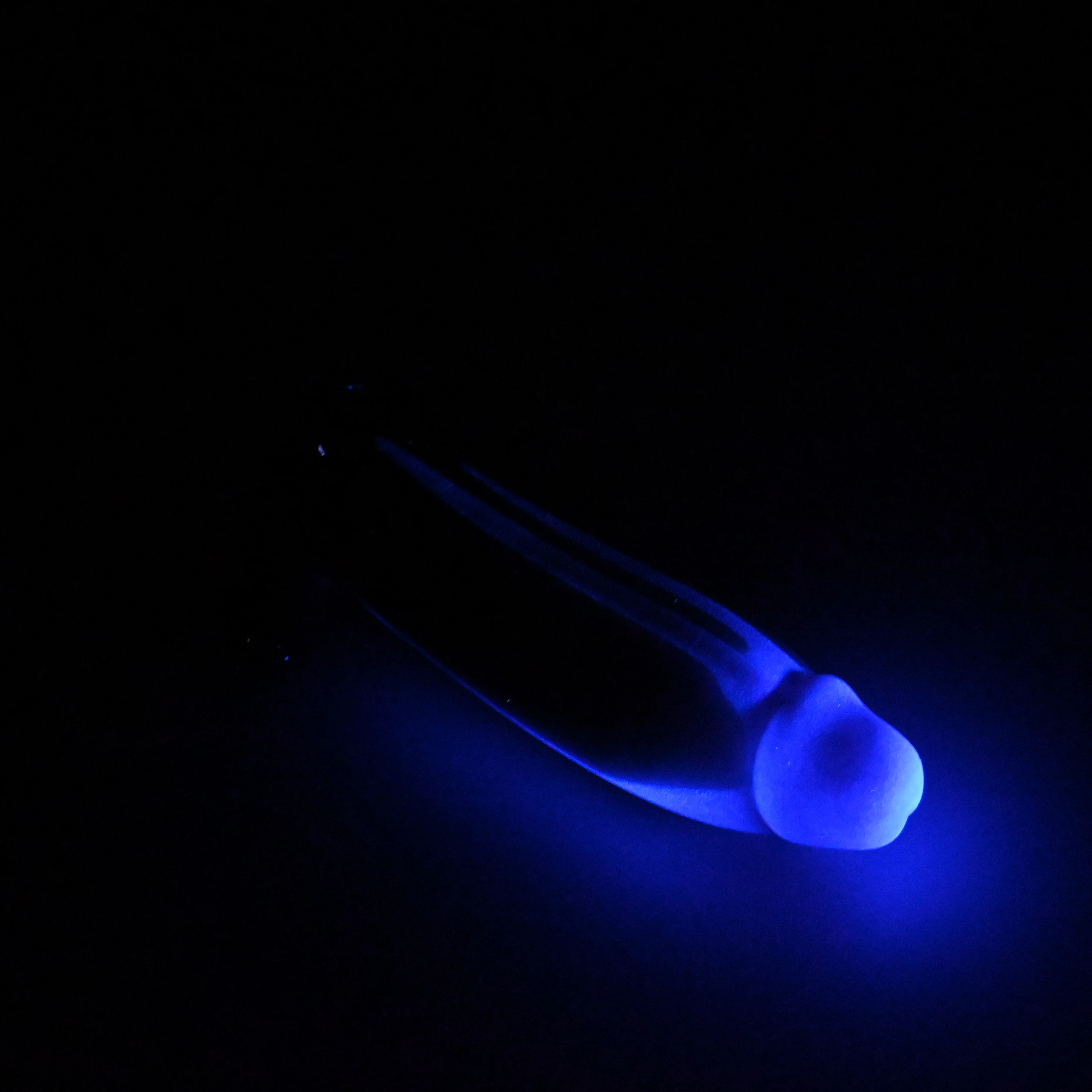W2SHE82 Tellus Small 0030 UV GITD - Image 4