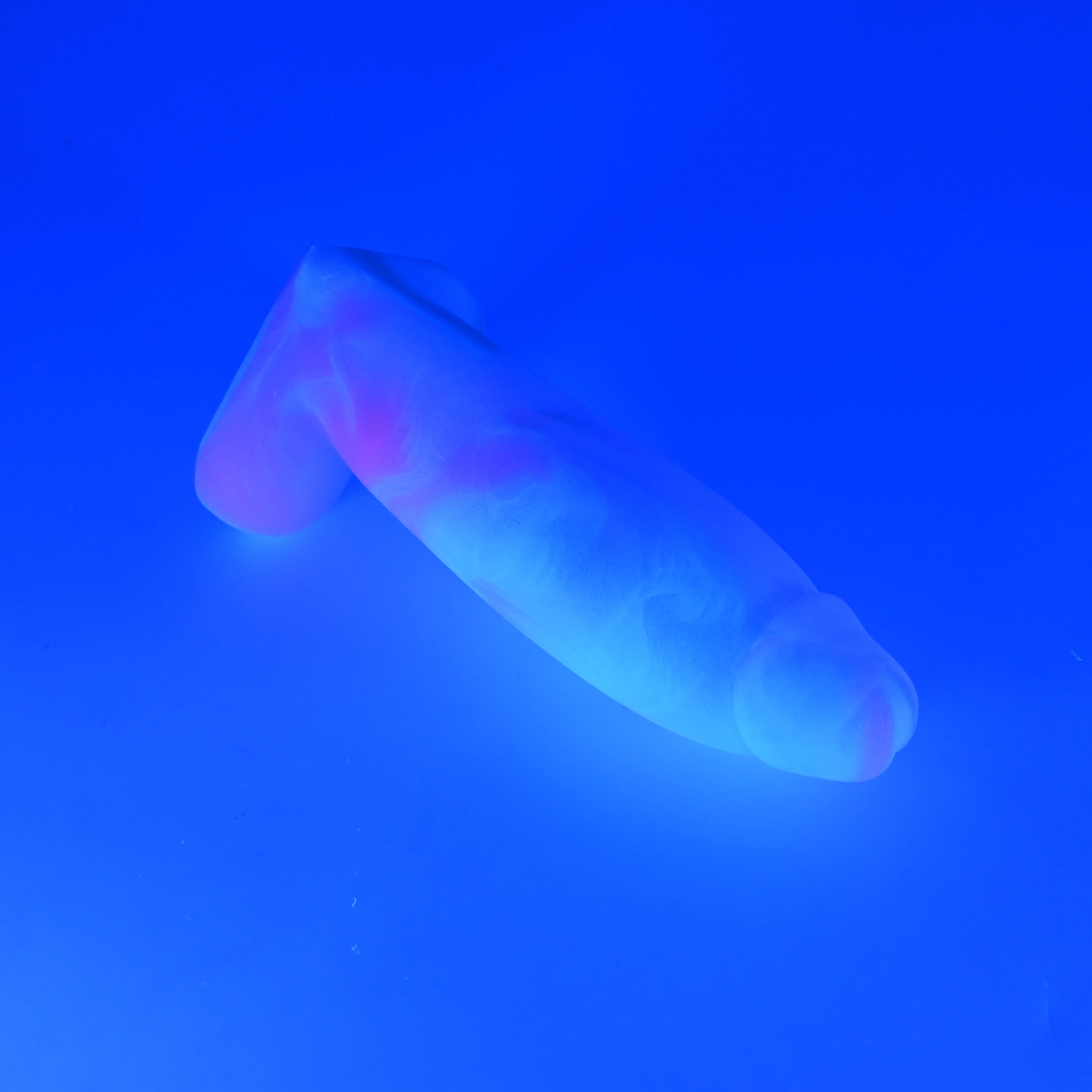 W2SJB19 Tellus Small 0030 UV CS - Image 3