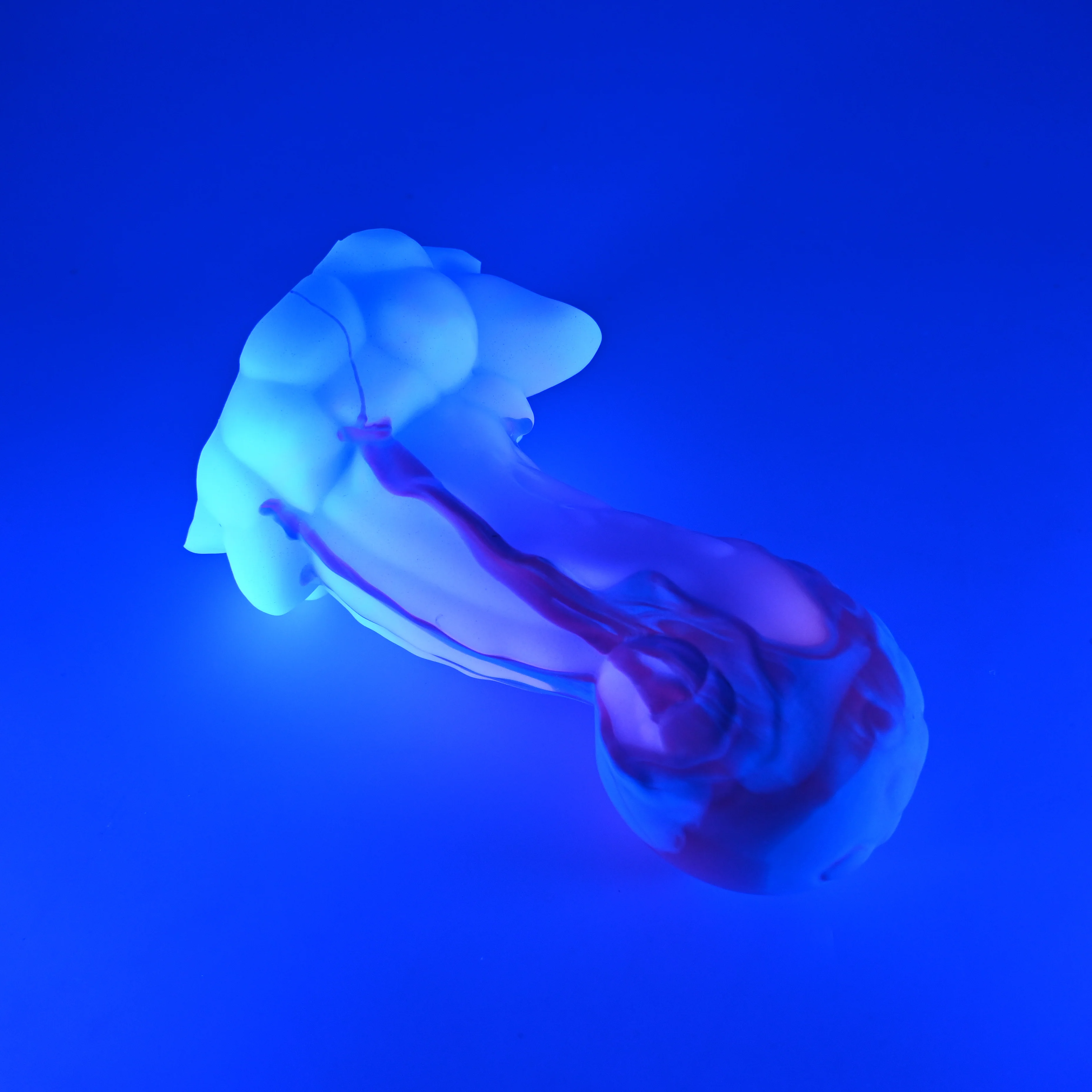 74SJU90 Terra Large 0030 UV GITD GOBLIN HOLE - Image 3