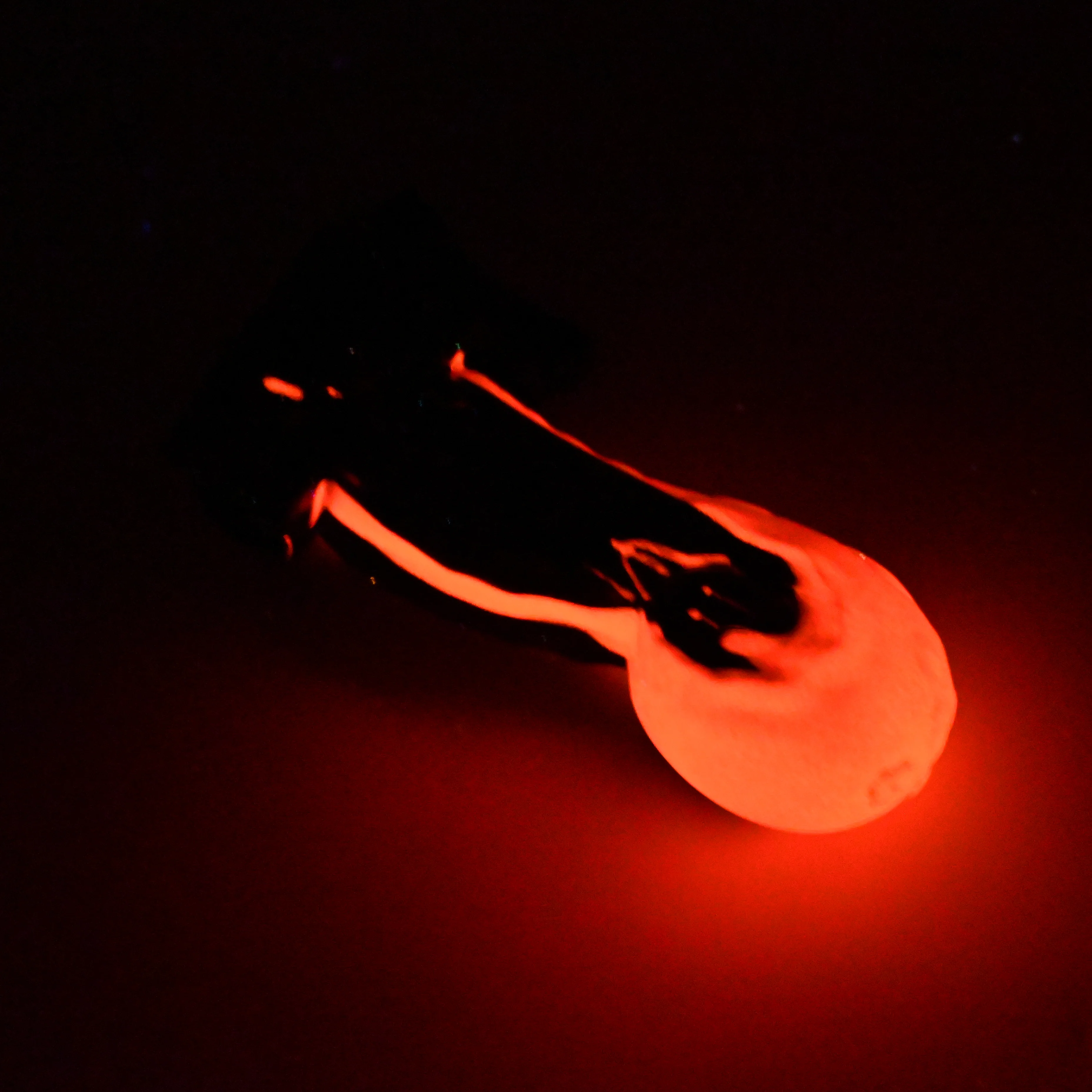 73MJW97 Terra Medium 0050 UV GITD GOBLIN HOLE - Image 4