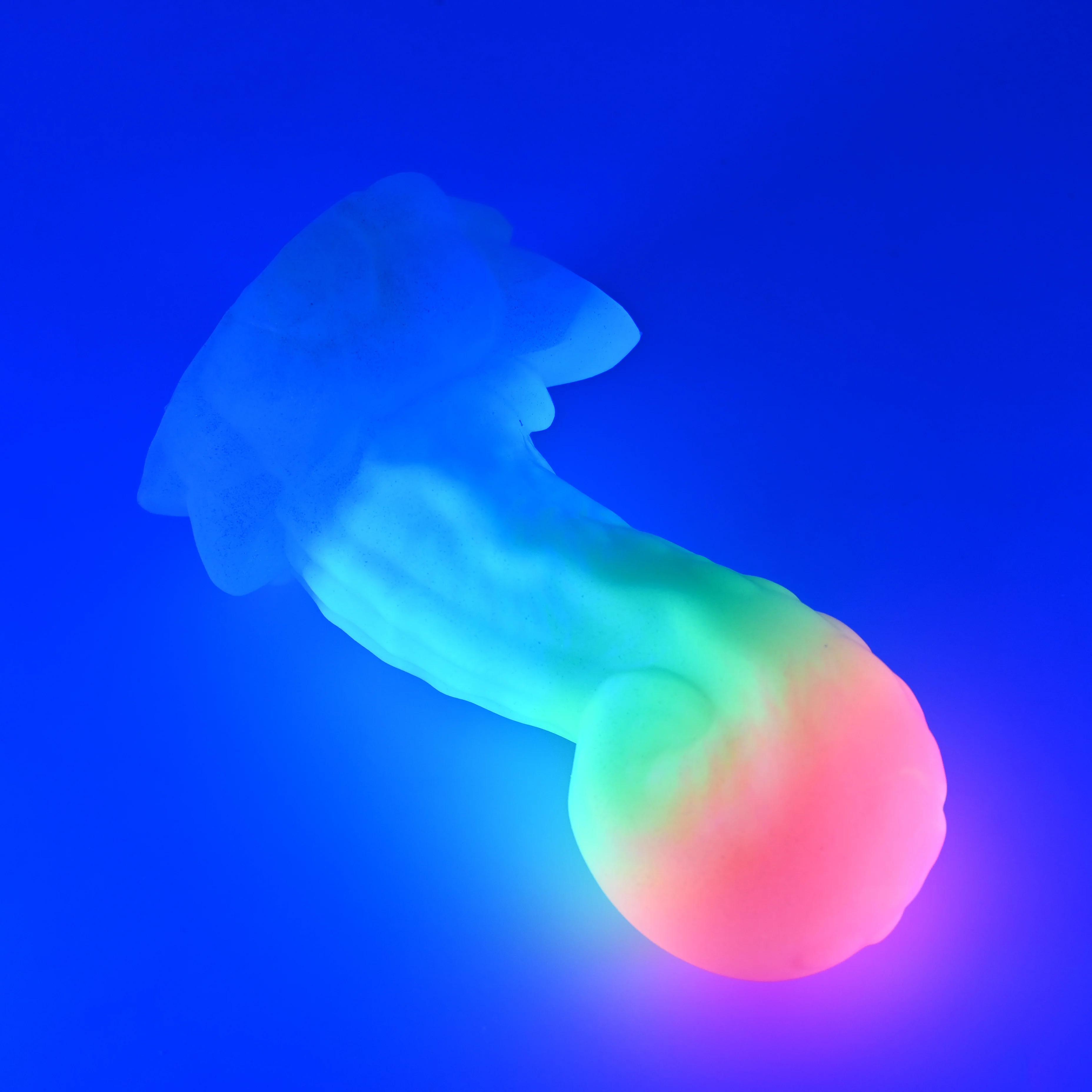 73SJY97 Terra Medium 0030 UV GITD - Image 3