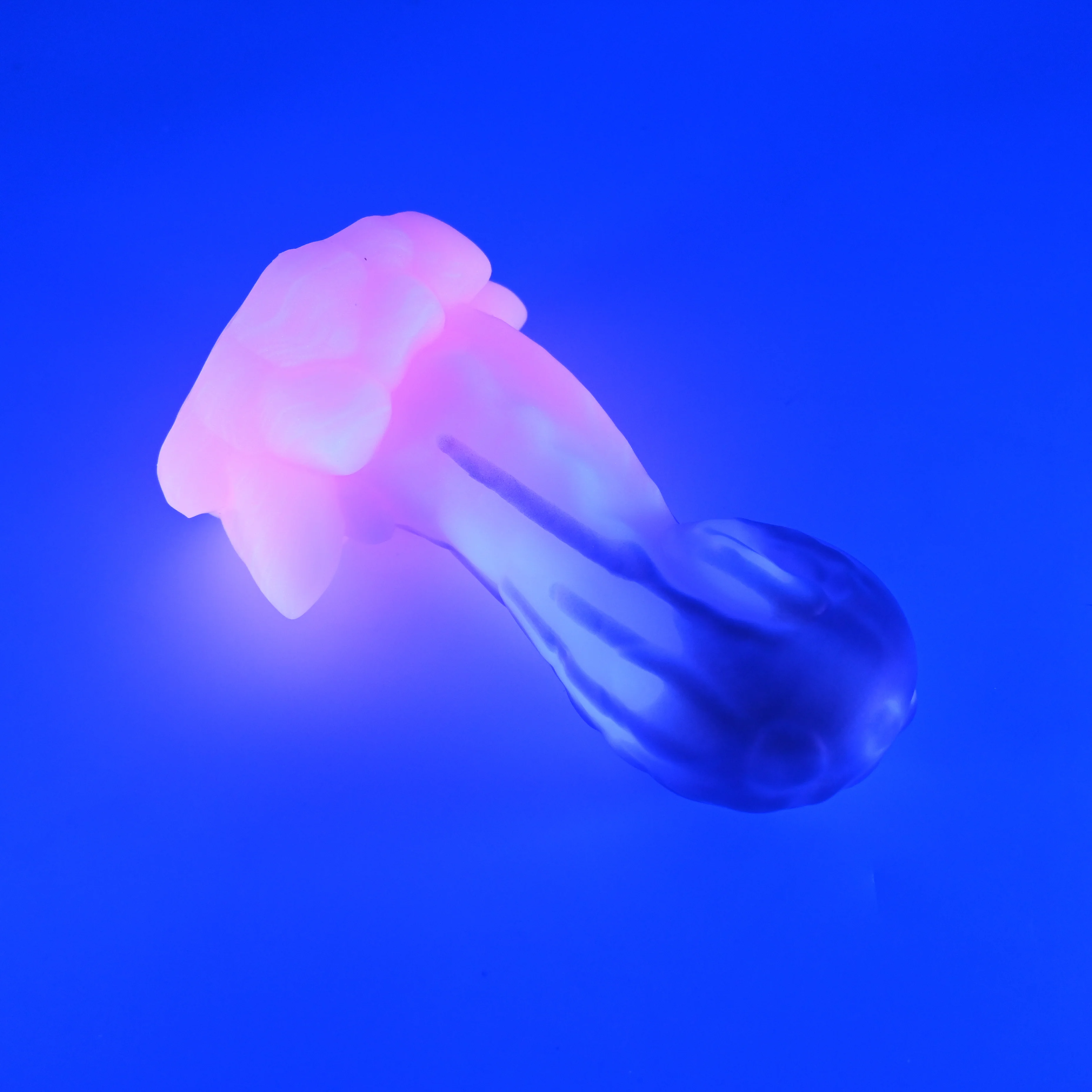 73XJT15 Terra Medium 0020 UV GITD CS - Image 3