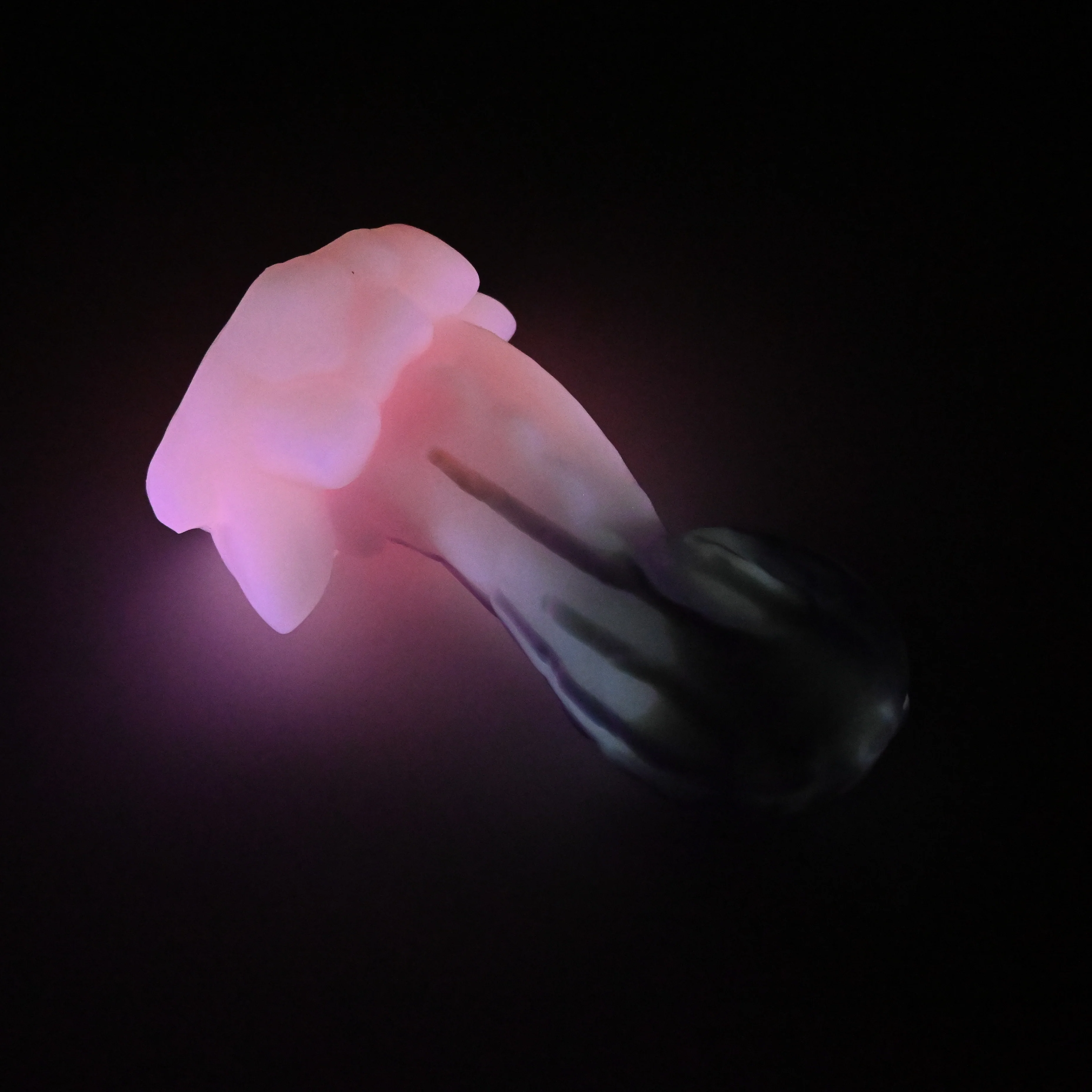 73XJT15 Terra Medium 0020 UV GITD CS - Image 4