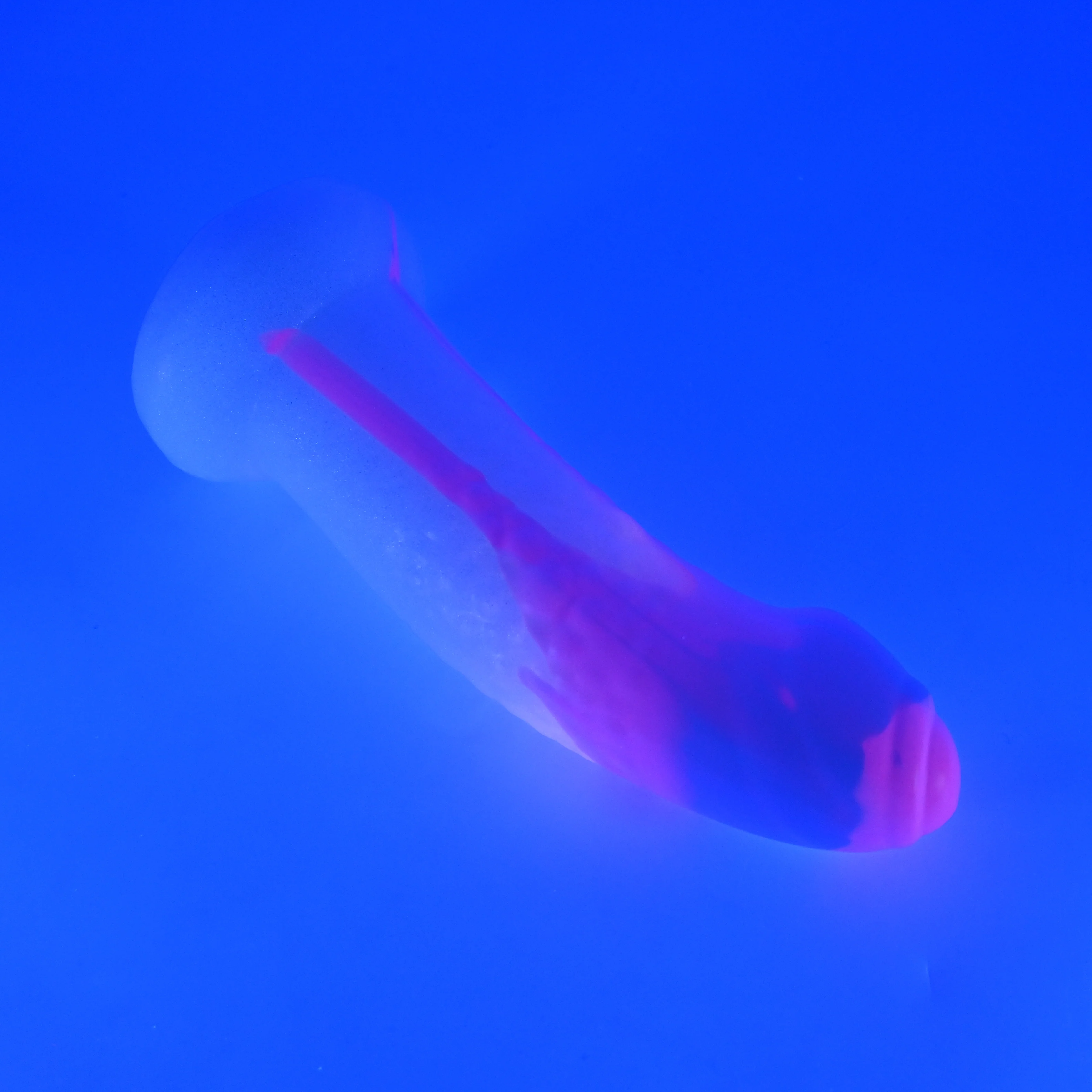 T4SHU03^ Titan Large 0030 UV GITD GHPA - Image 3