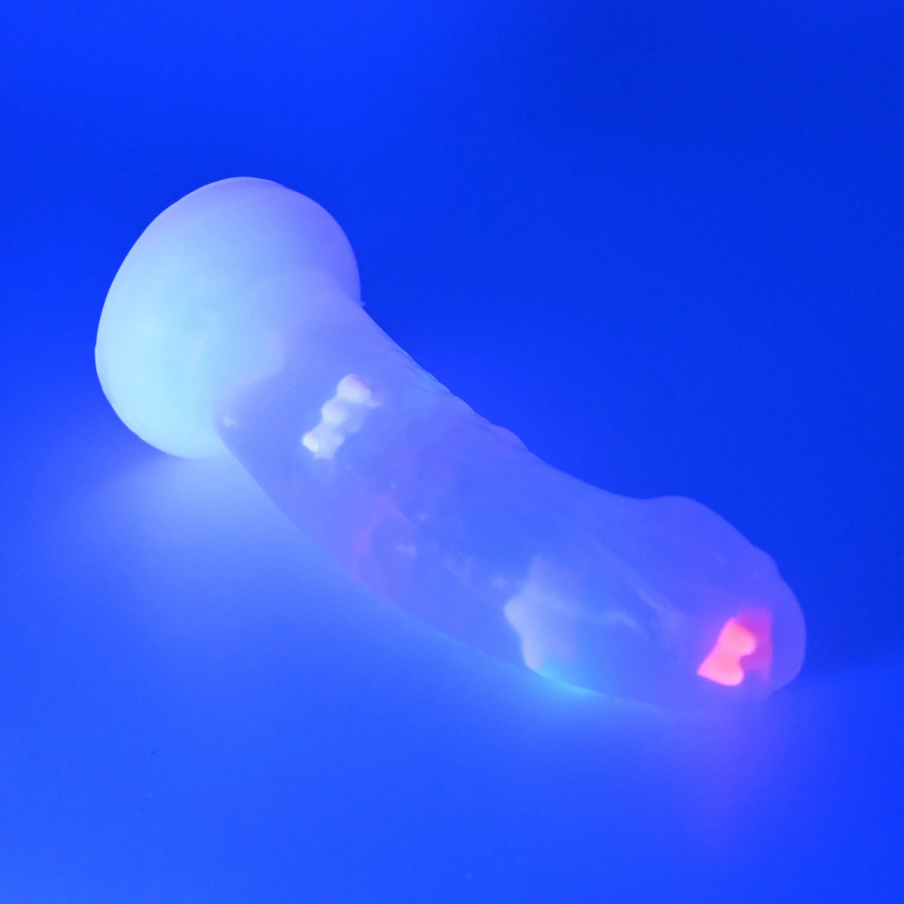 T2TGS41 Titan Small NC 0031 UV CS - Image 3