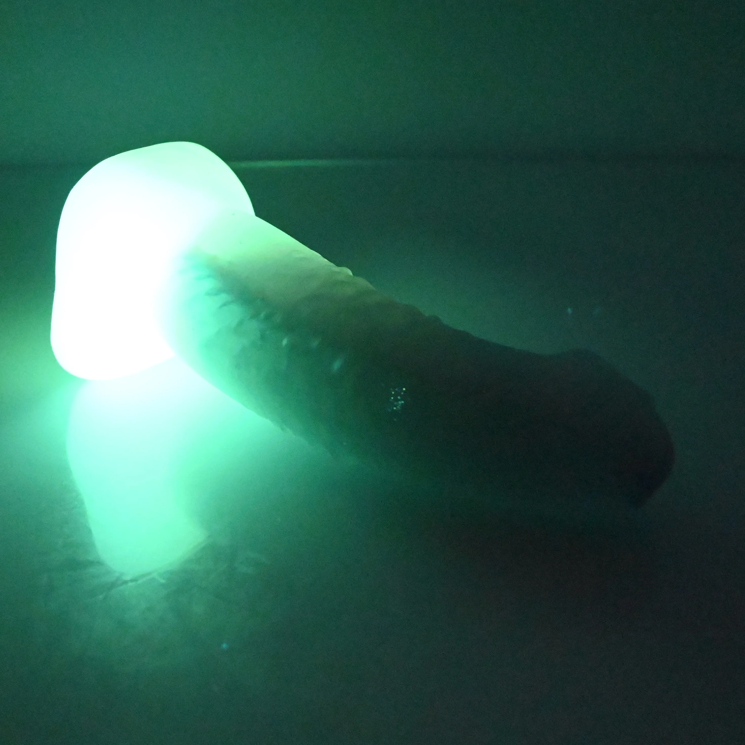 T2TCF69 Titan Small NC 0031 UV GITD - Image 4