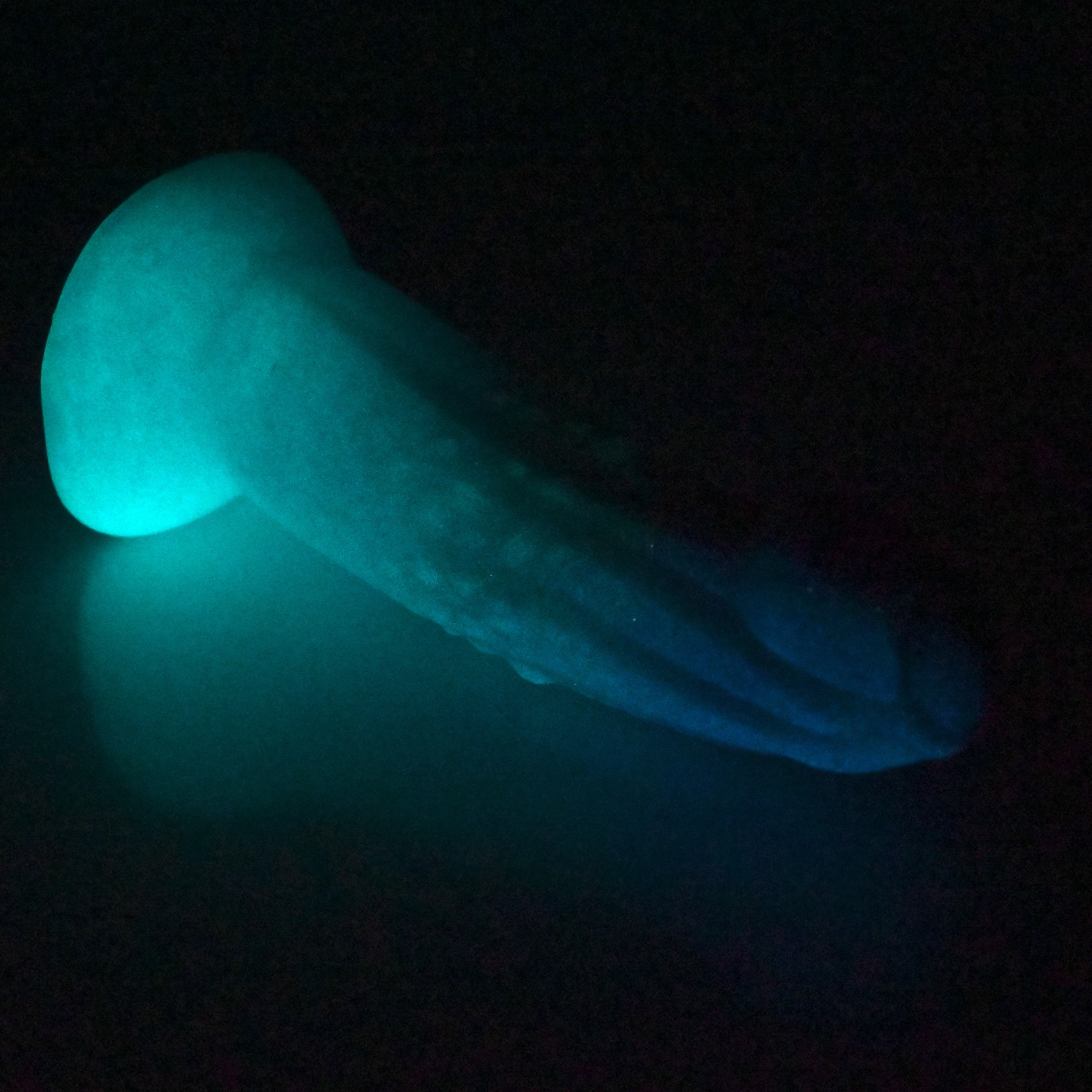 T2SDK54 Titan Small 0030 UV GITD CS - Image 4