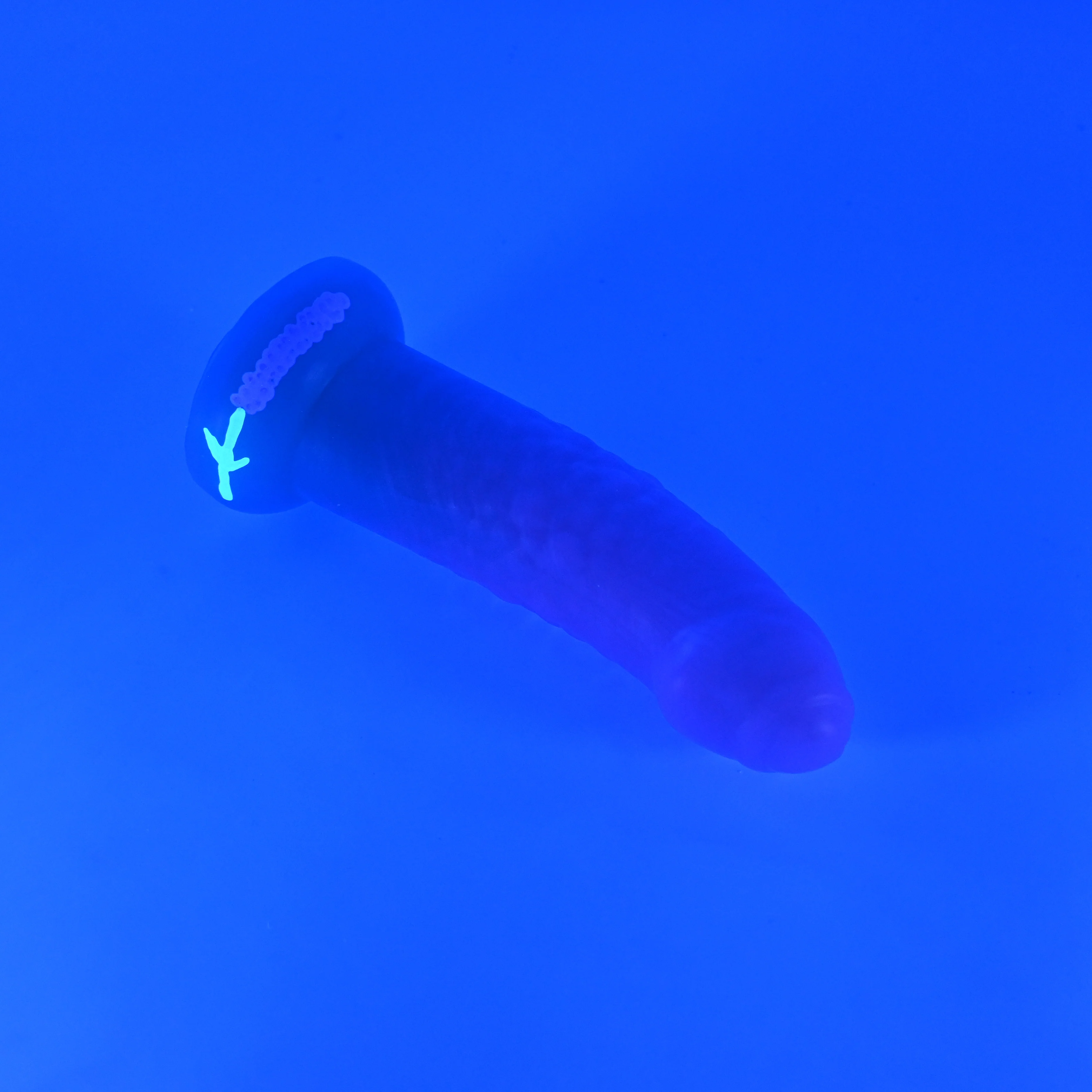 T2MKC07 Titan Small 0050 UV GITD - Image 2