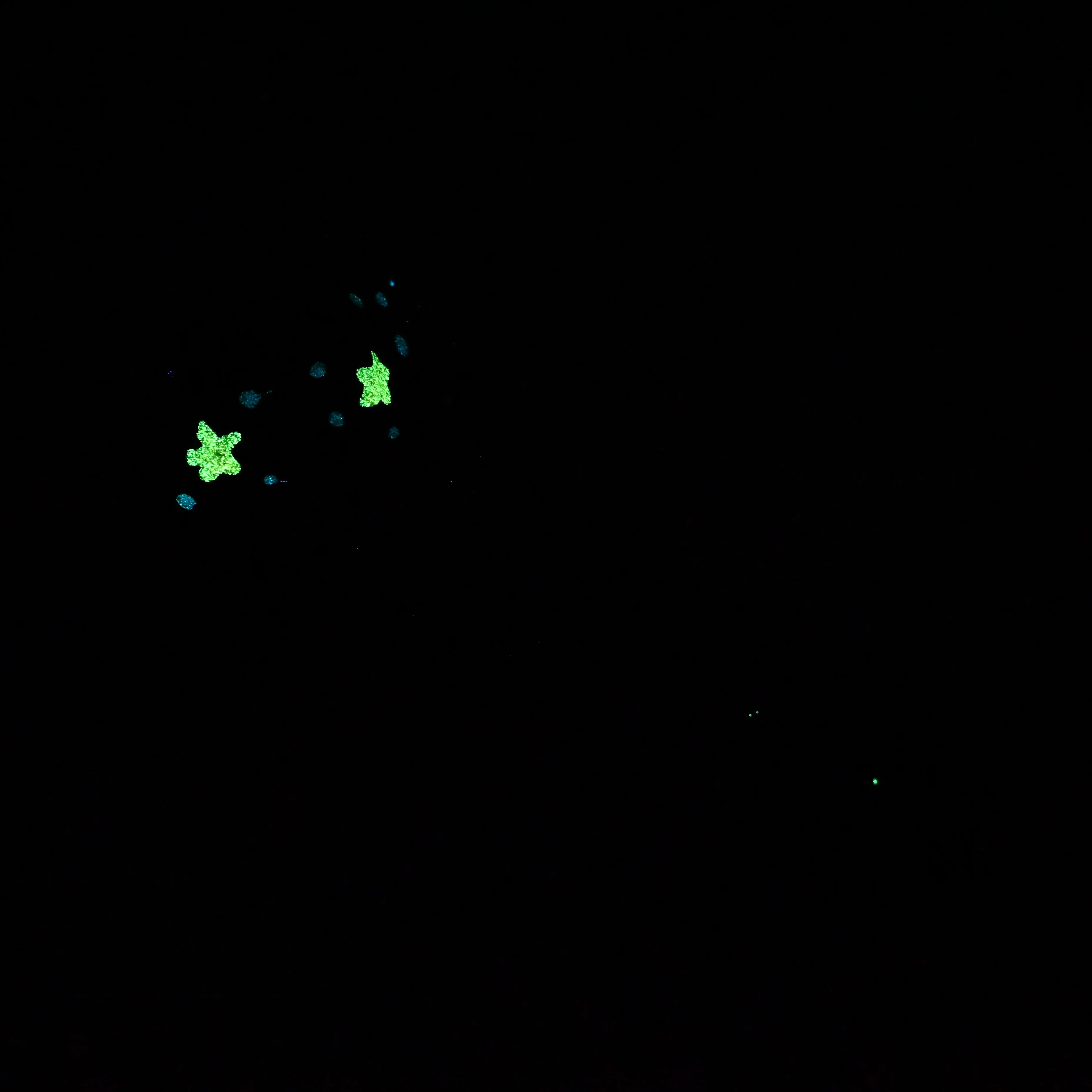 V3SKA36 Vaeriya Medium 0030 UV GITD CS - Image 4